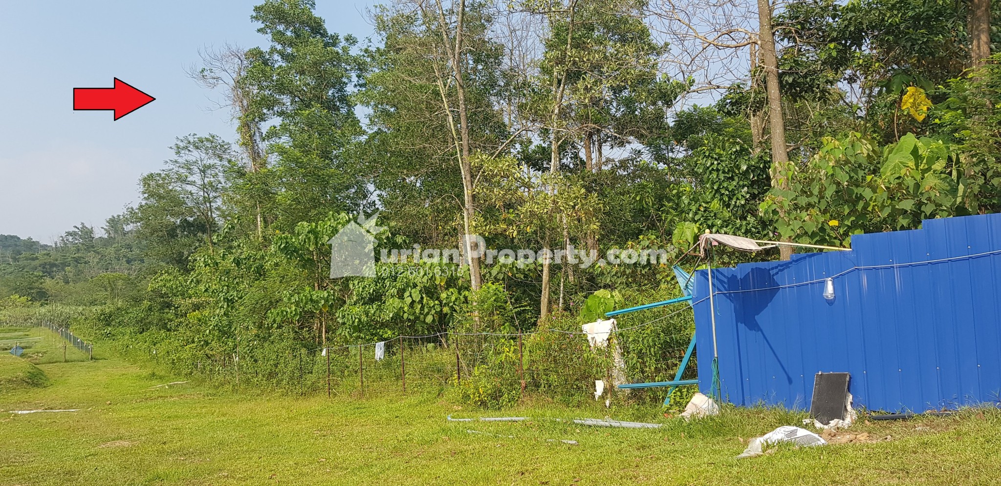 Agriculture Land For Rent at Rawang