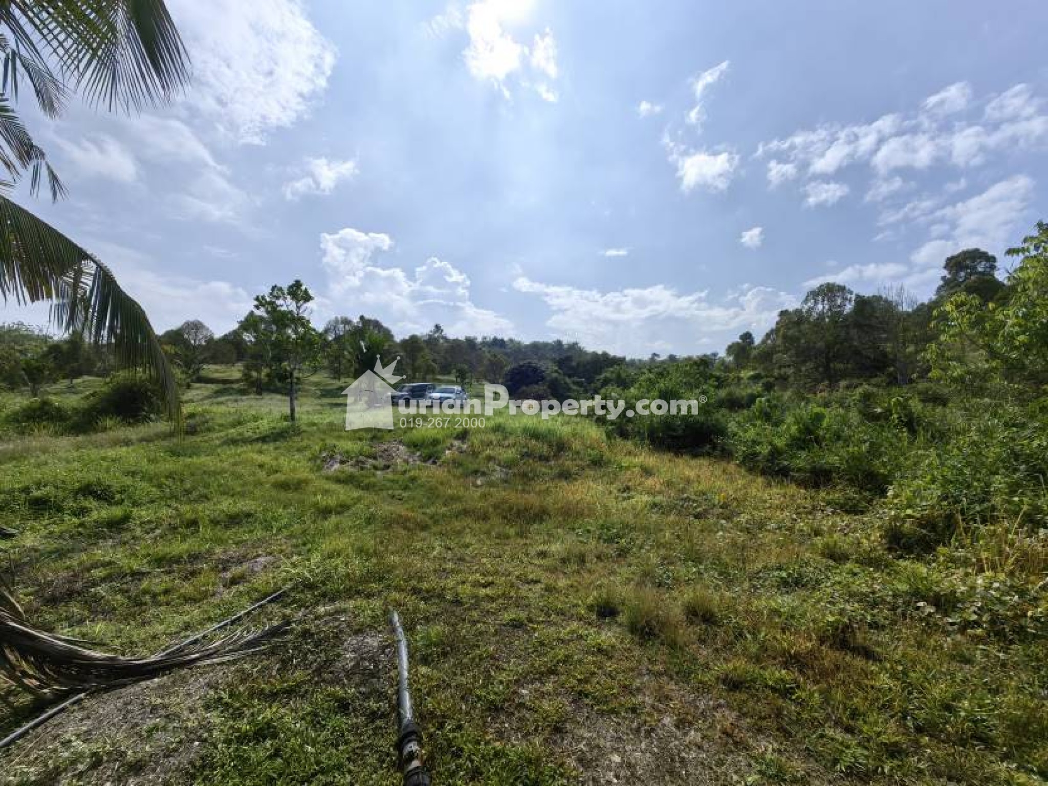 Agriculture Land For Sale at Raub