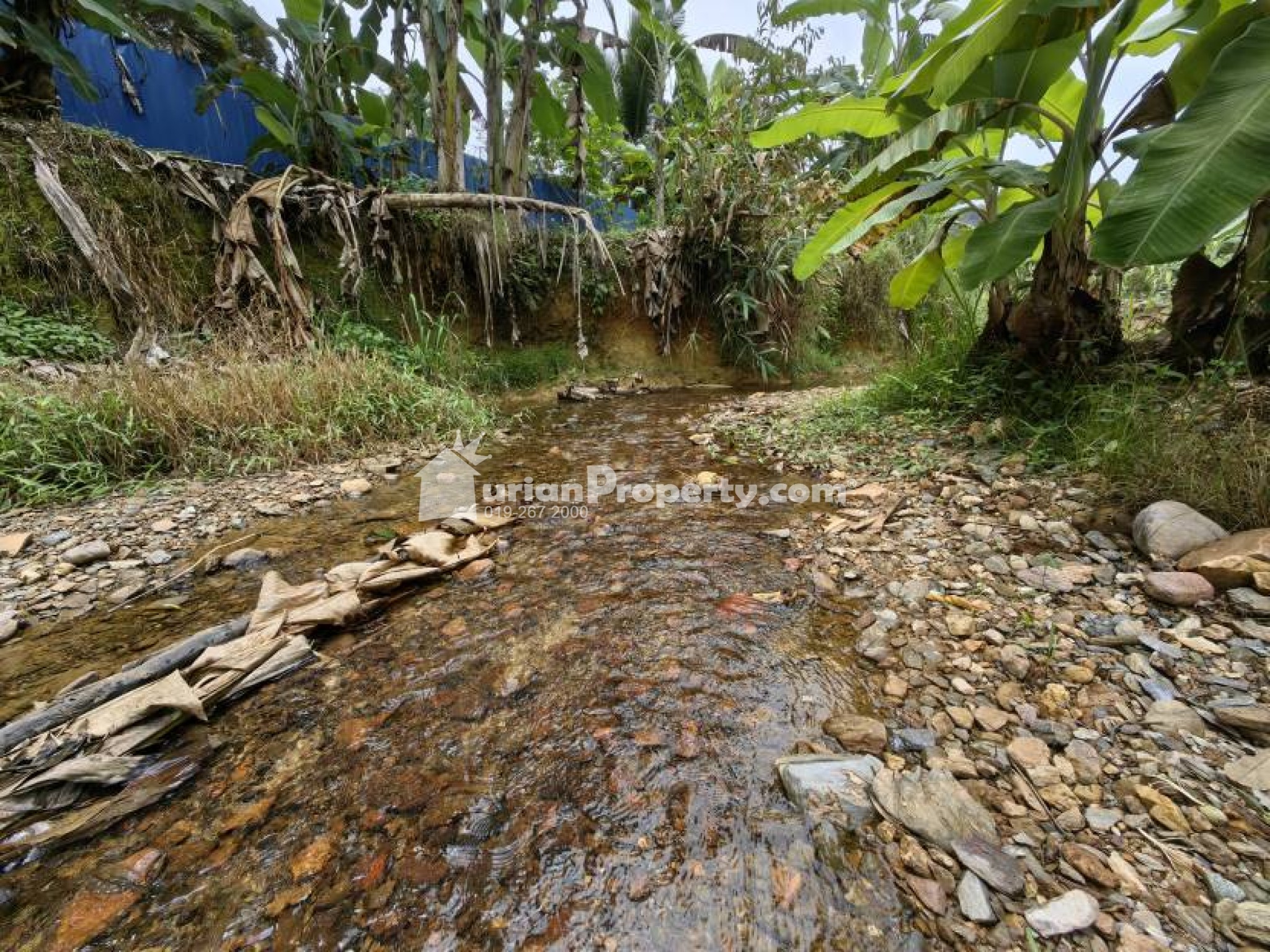 Agriculture Land For Sale at Chenor