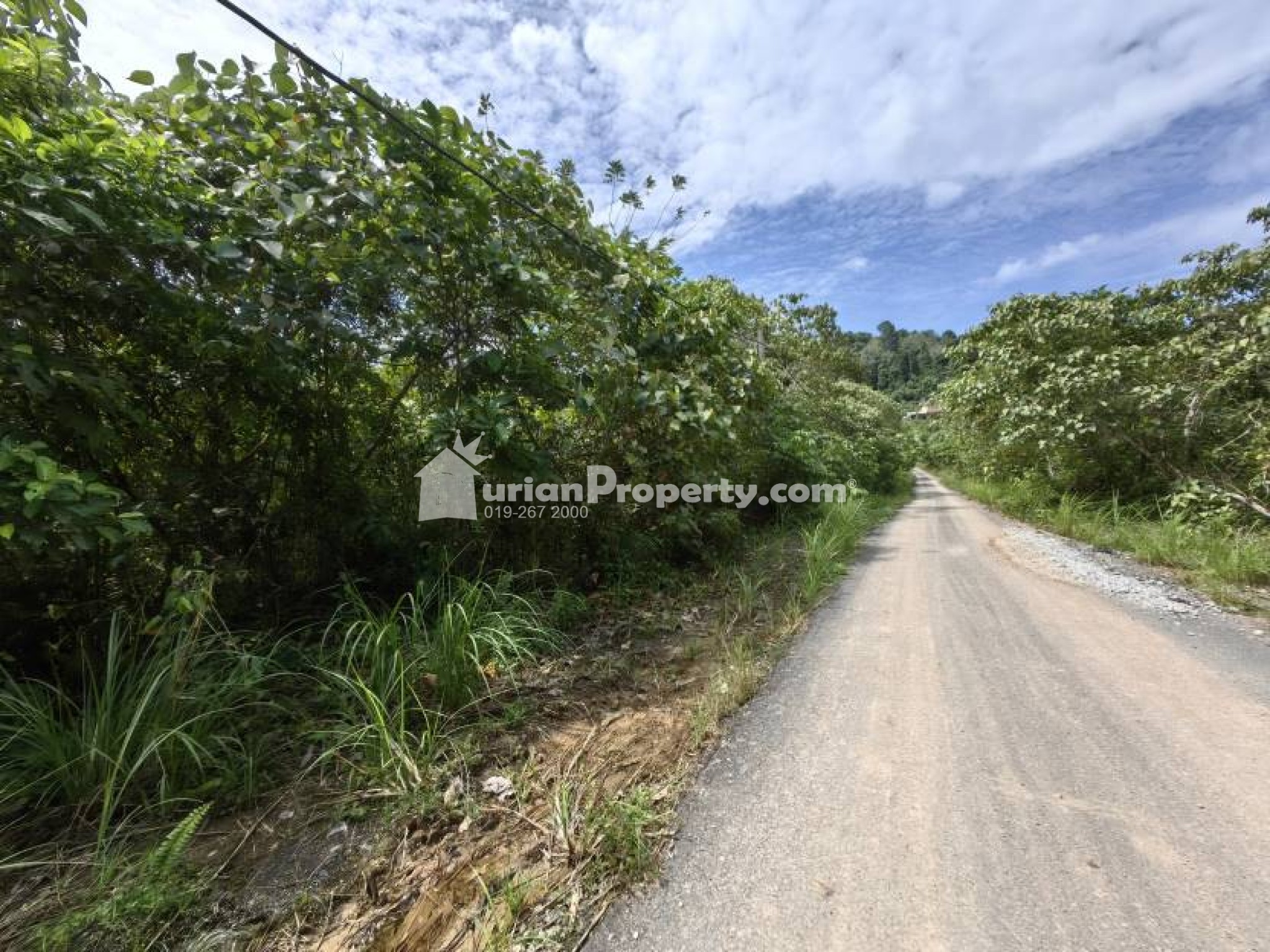 Agriculture Land For Sale at Kuala Lipis