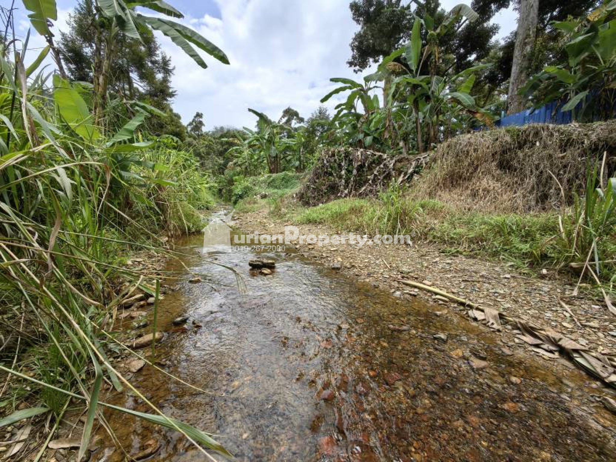 Agriculture Land For Sale at Chenor