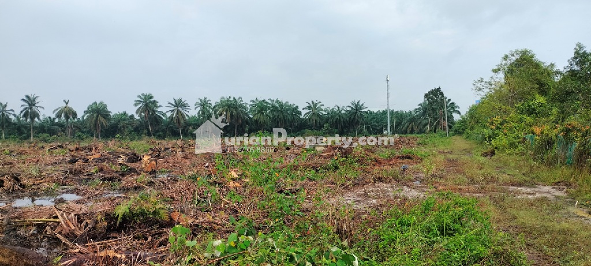 Commercial Land For Sale at Banting