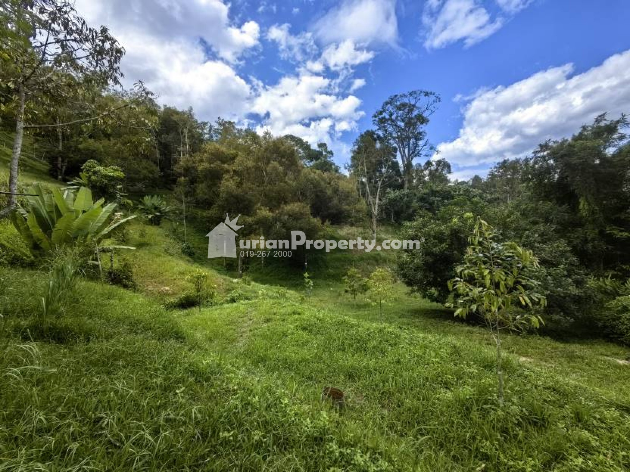 Agriculture Land For Sale at Bentong