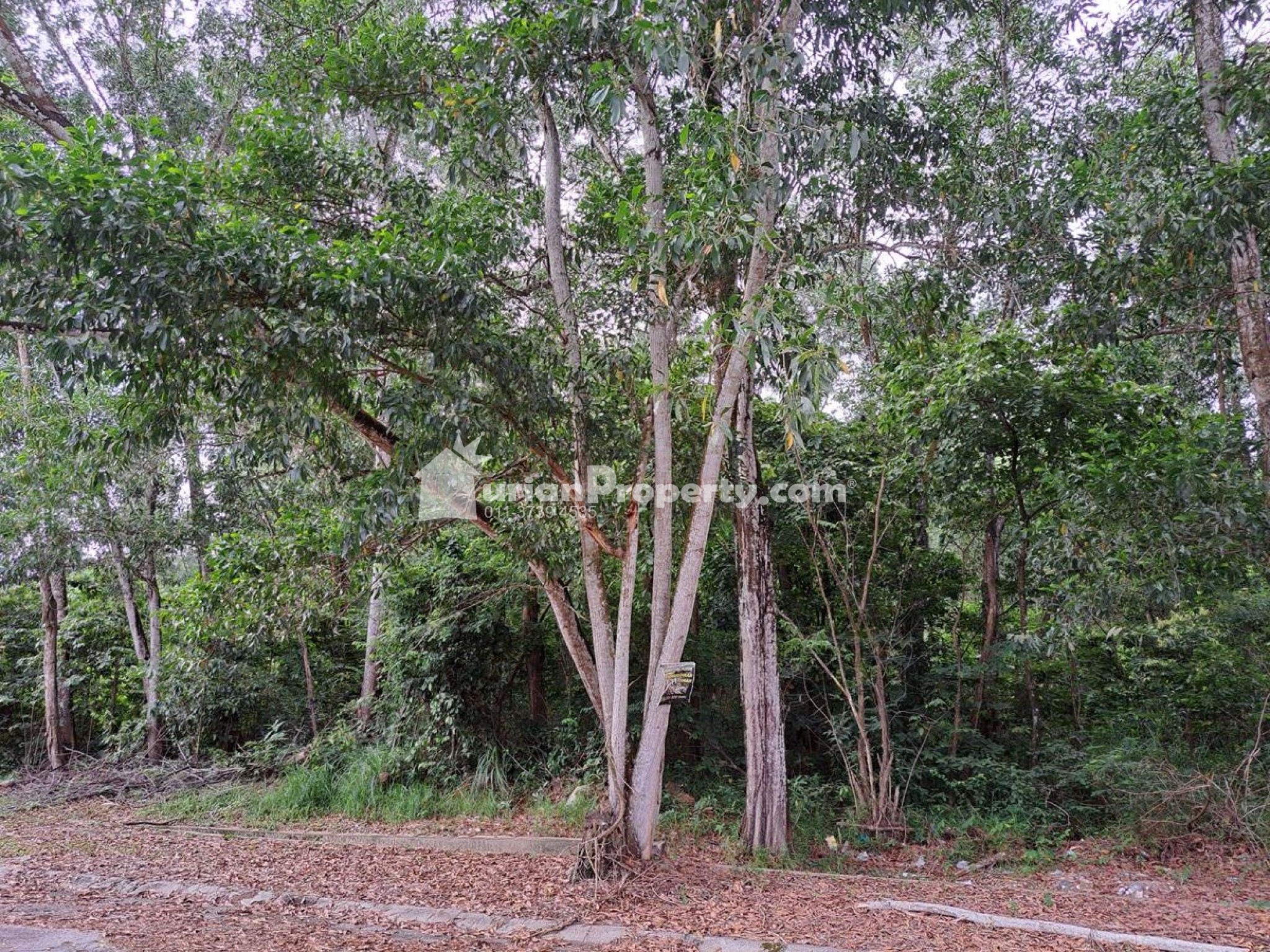 Bungalow Land For Sale at Meru Height