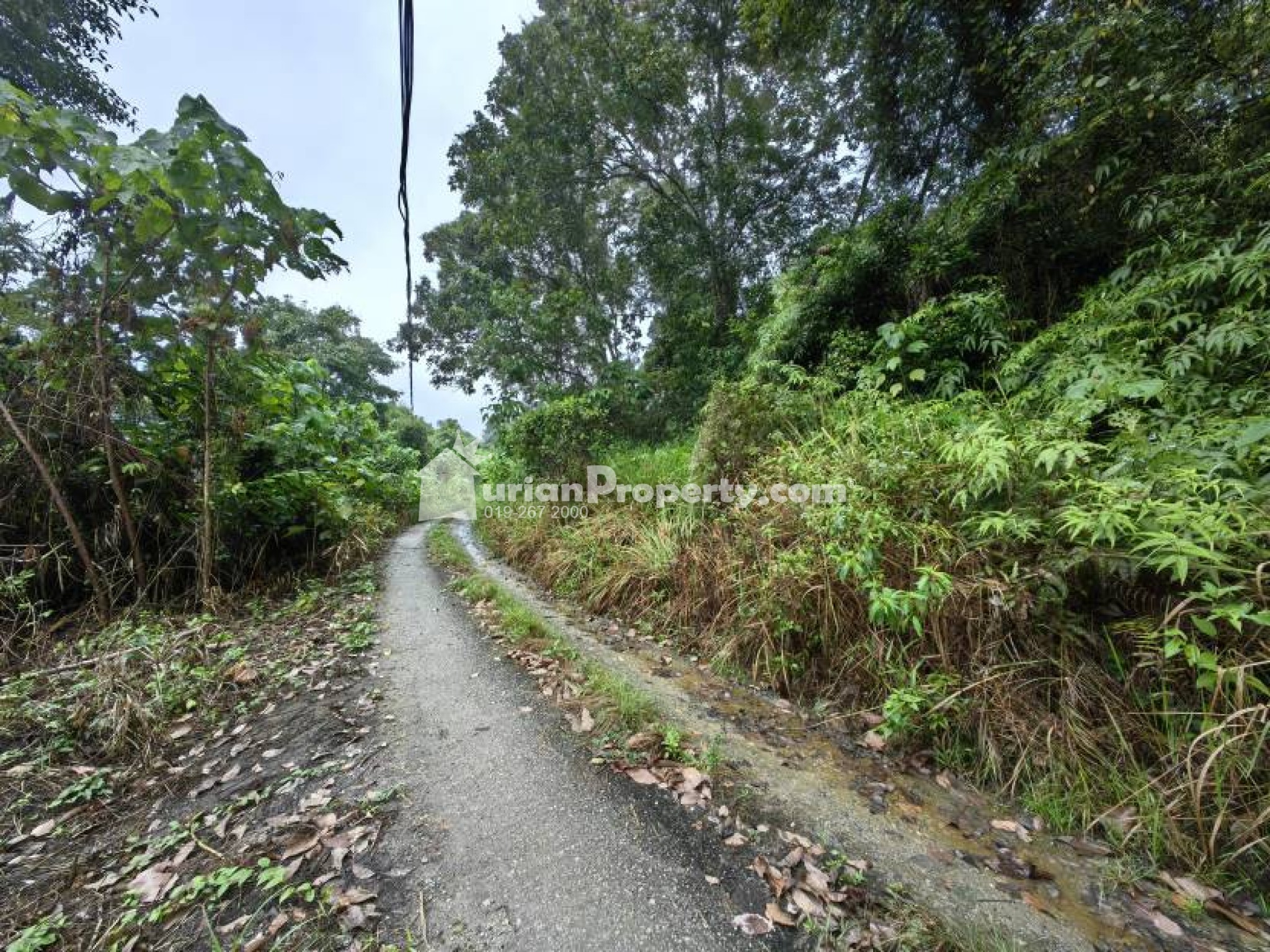 Agriculture Land For Sale at Raub