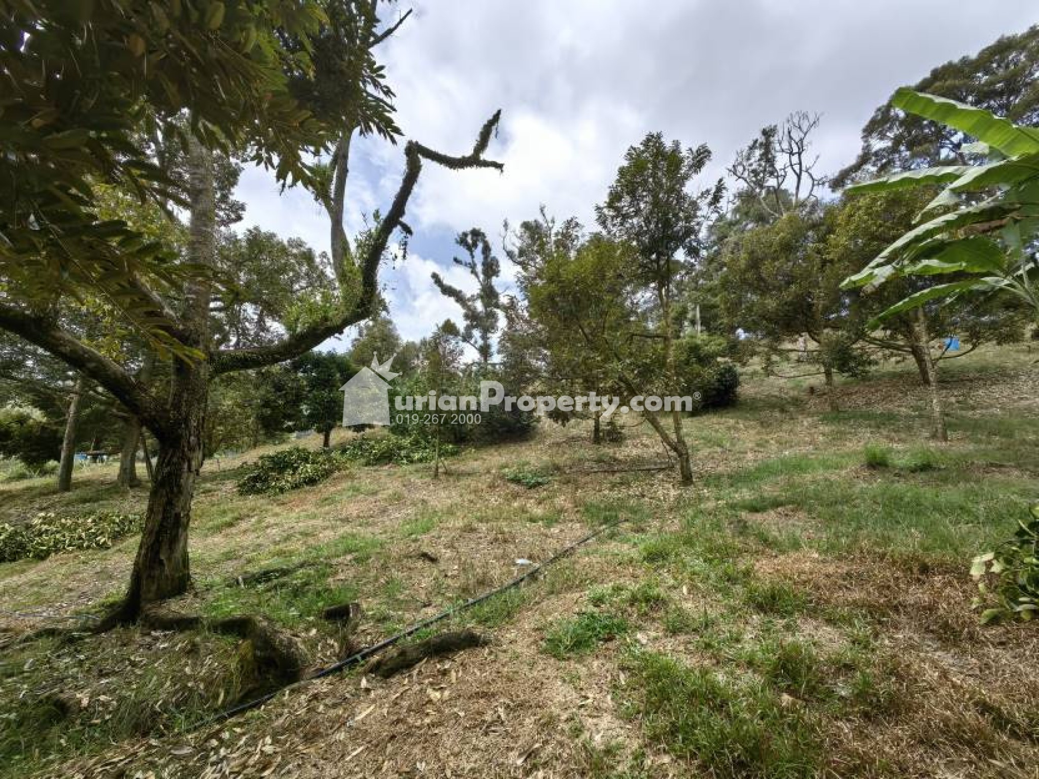 Agriculture Land For Sale at Chenor