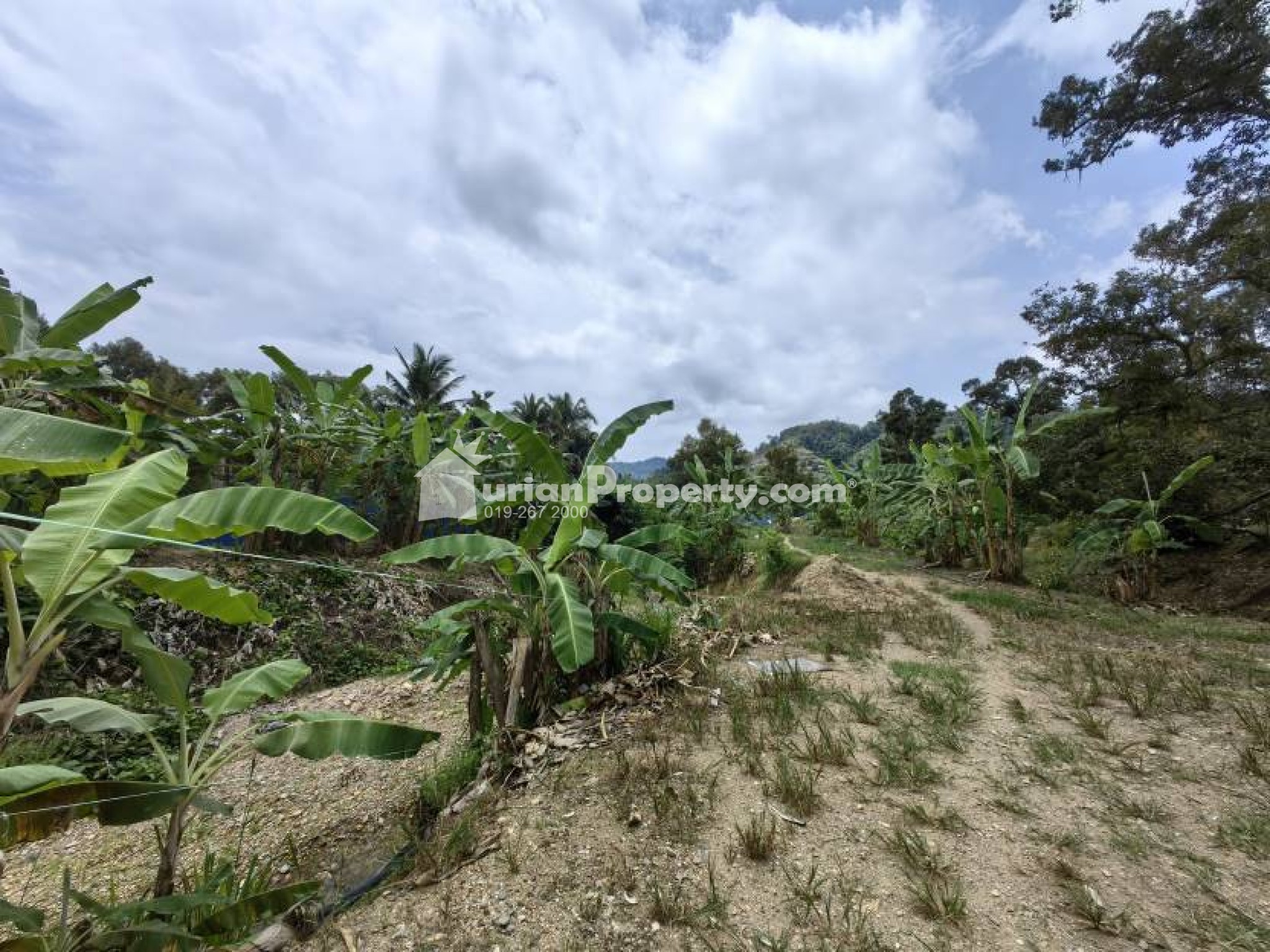 Agriculture Land For Sale at Chenor