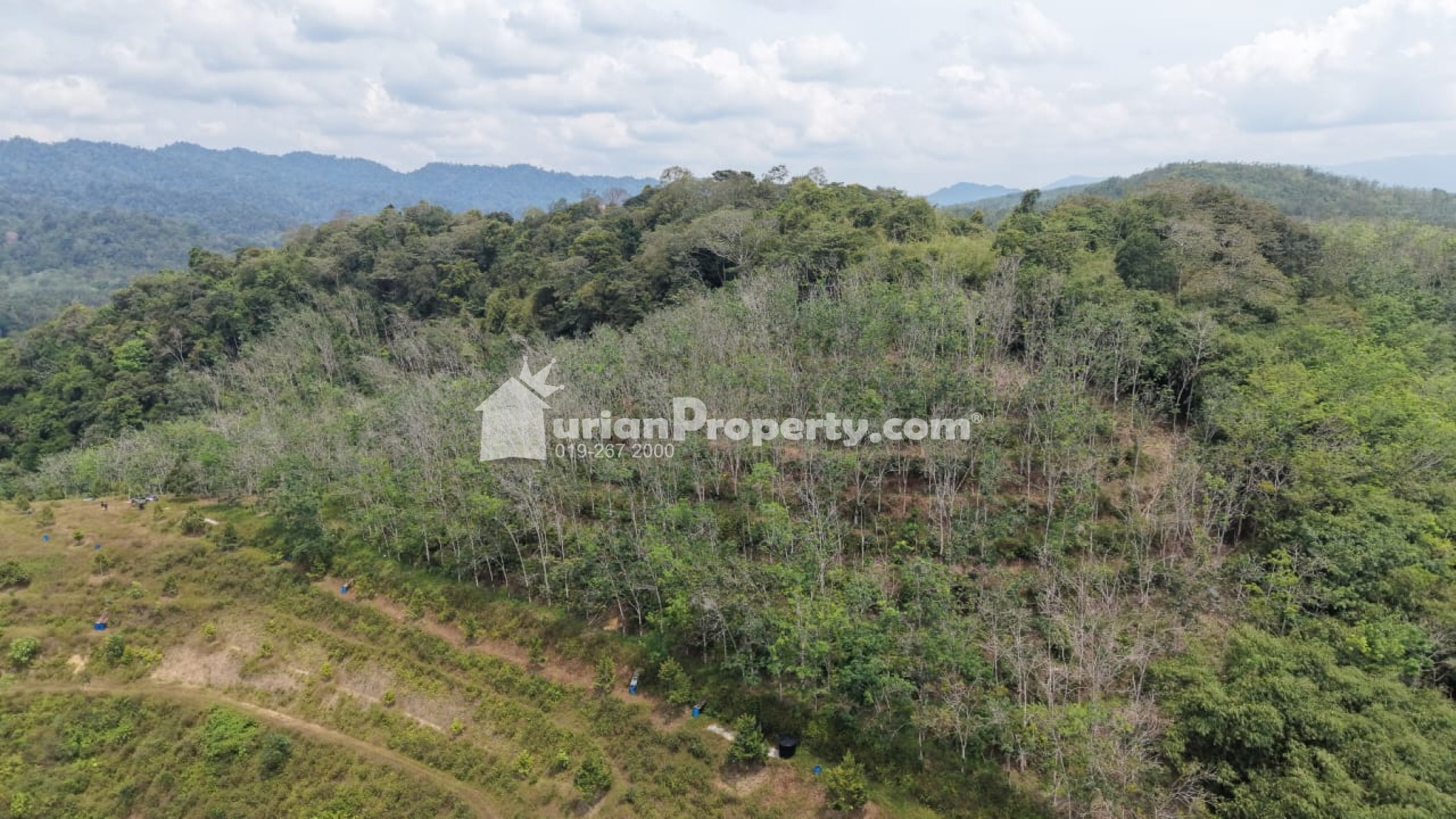 Agriculture Land For Sale at Jelebu