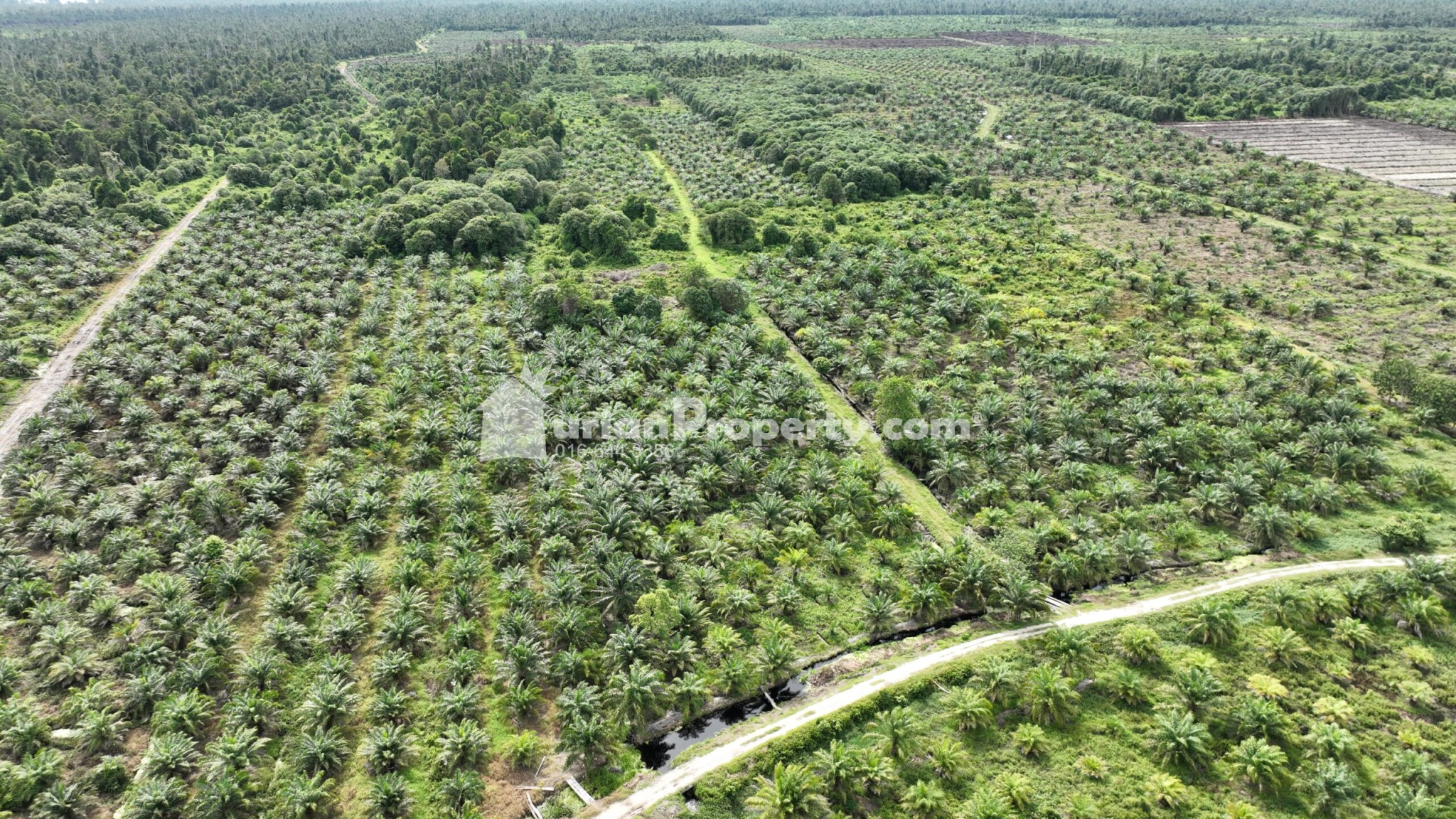 Agriculture Land For Sale at Bandar Bera