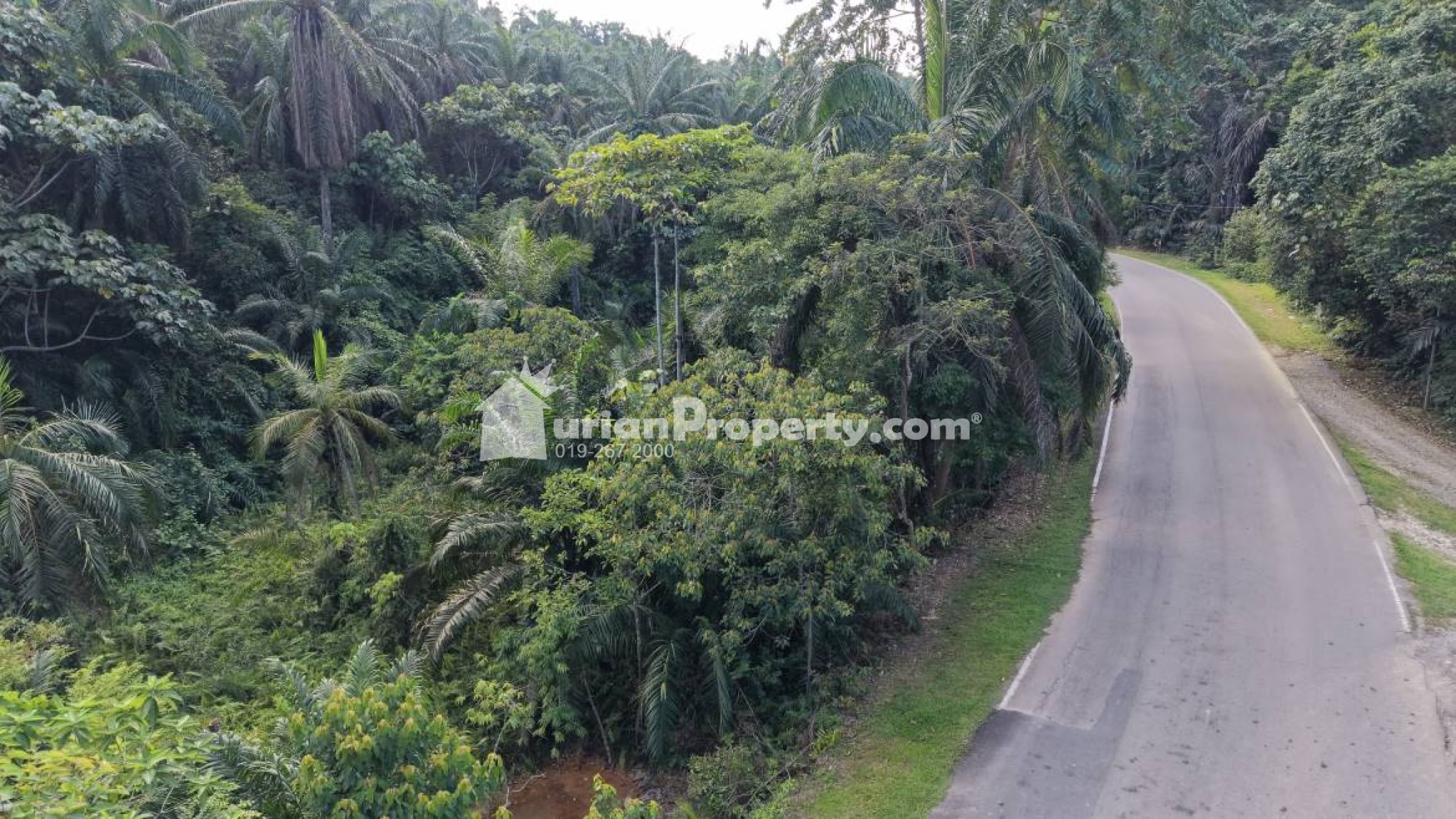 Agriculture Land For Sale at Kuala Lipis