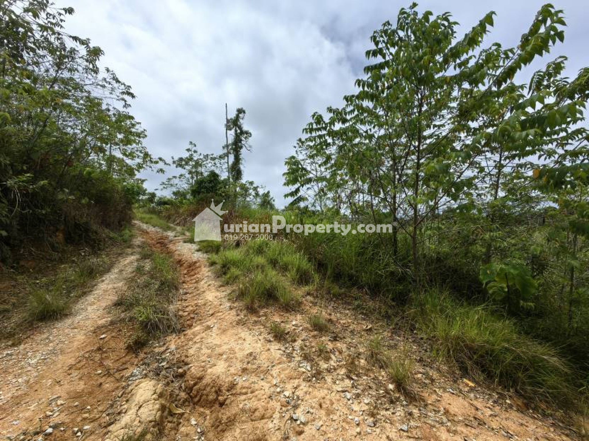 Agriculture Land For Sale at Raub