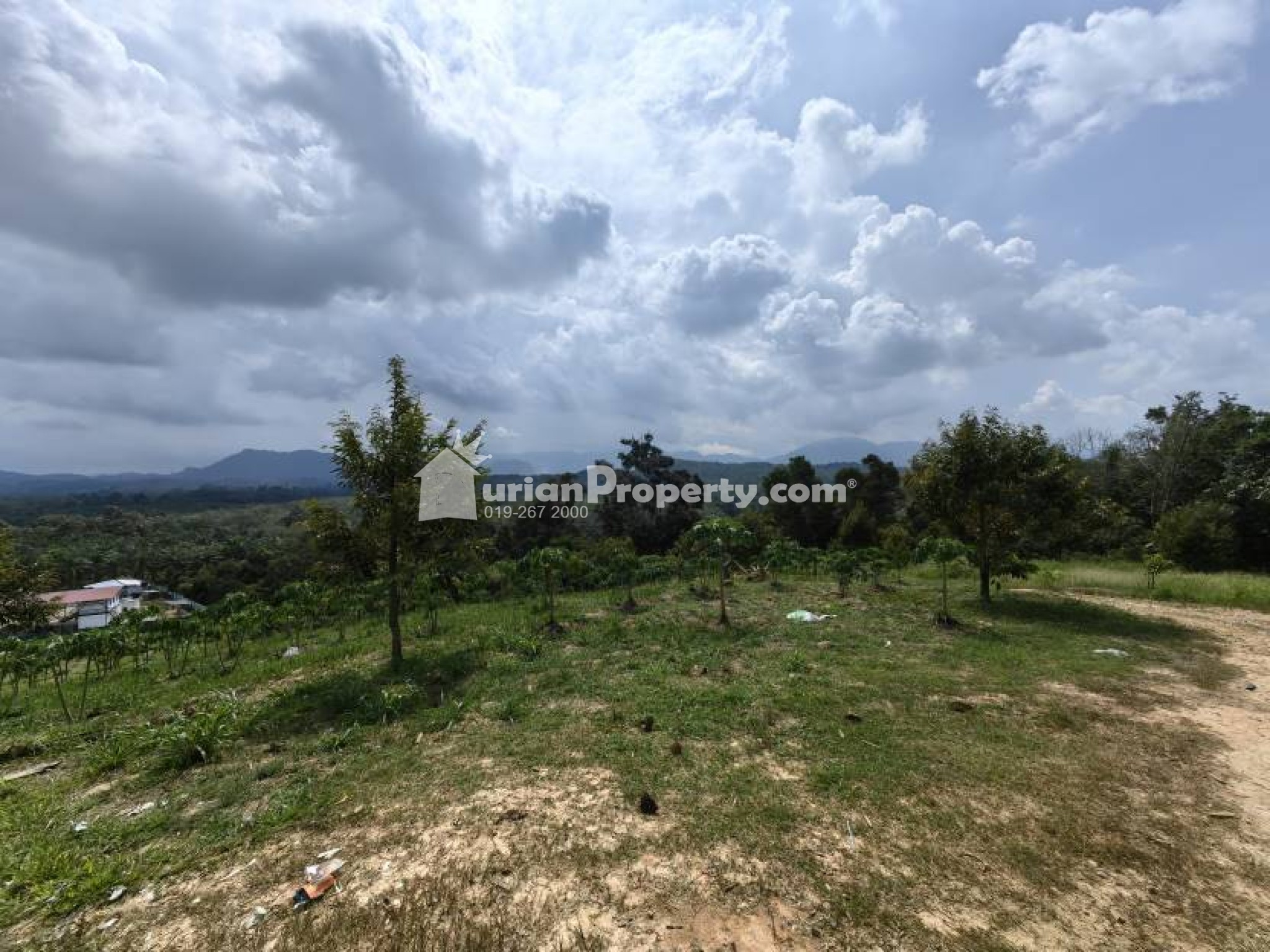 Agriculture Land For Sale at Raub