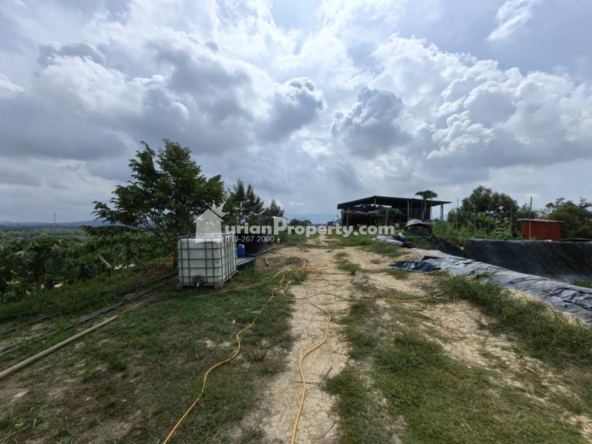 Agriculture Land For Sale at Raub
