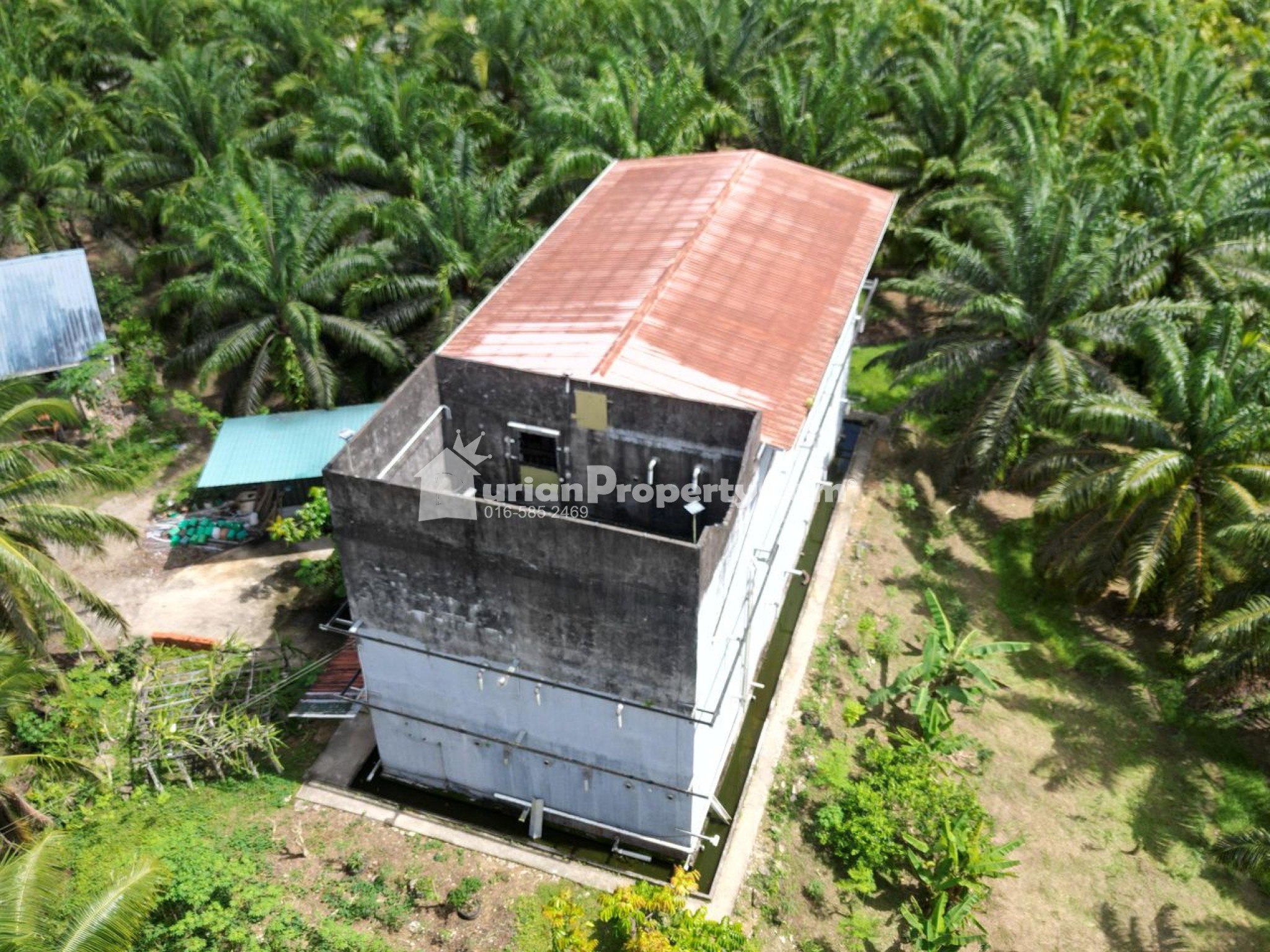 Agriculture Land For Sale at Beaufort