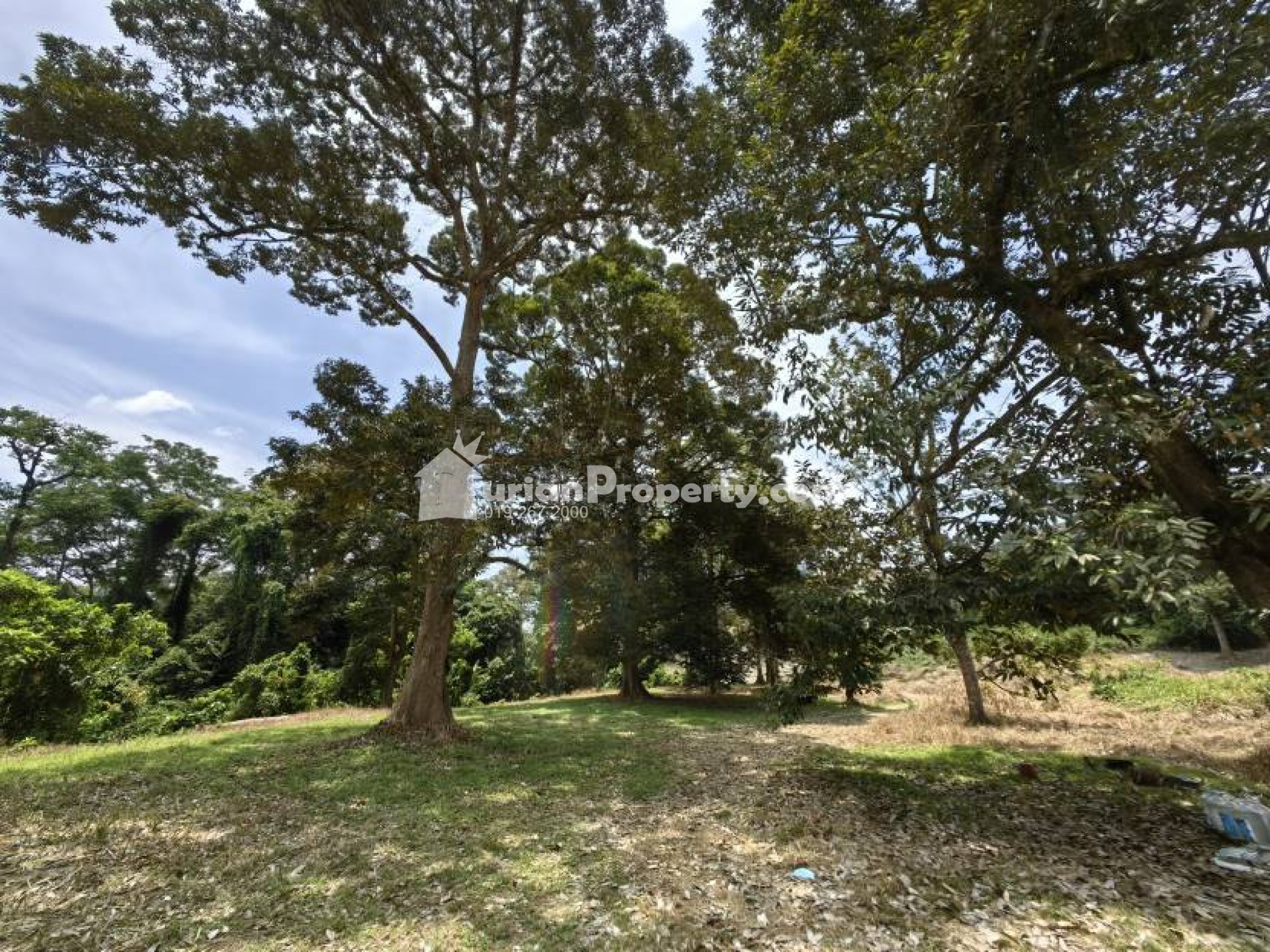 Agriculture Land For Sale at Kuala Lipis