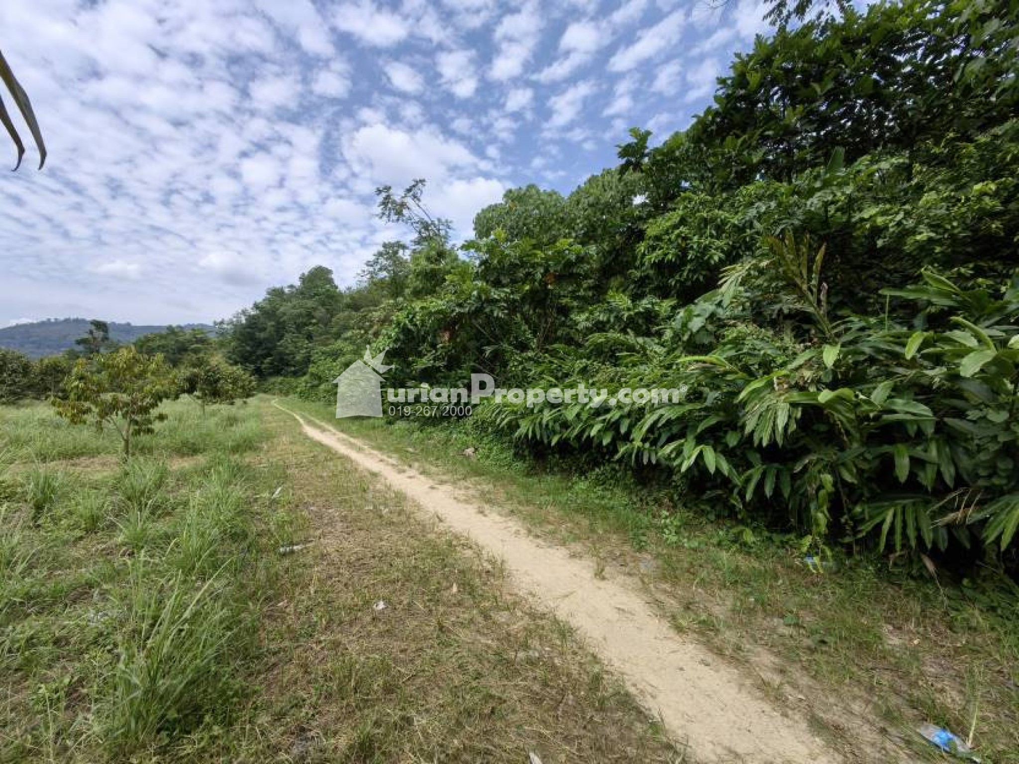 Agriculture Land For Sale at Broga