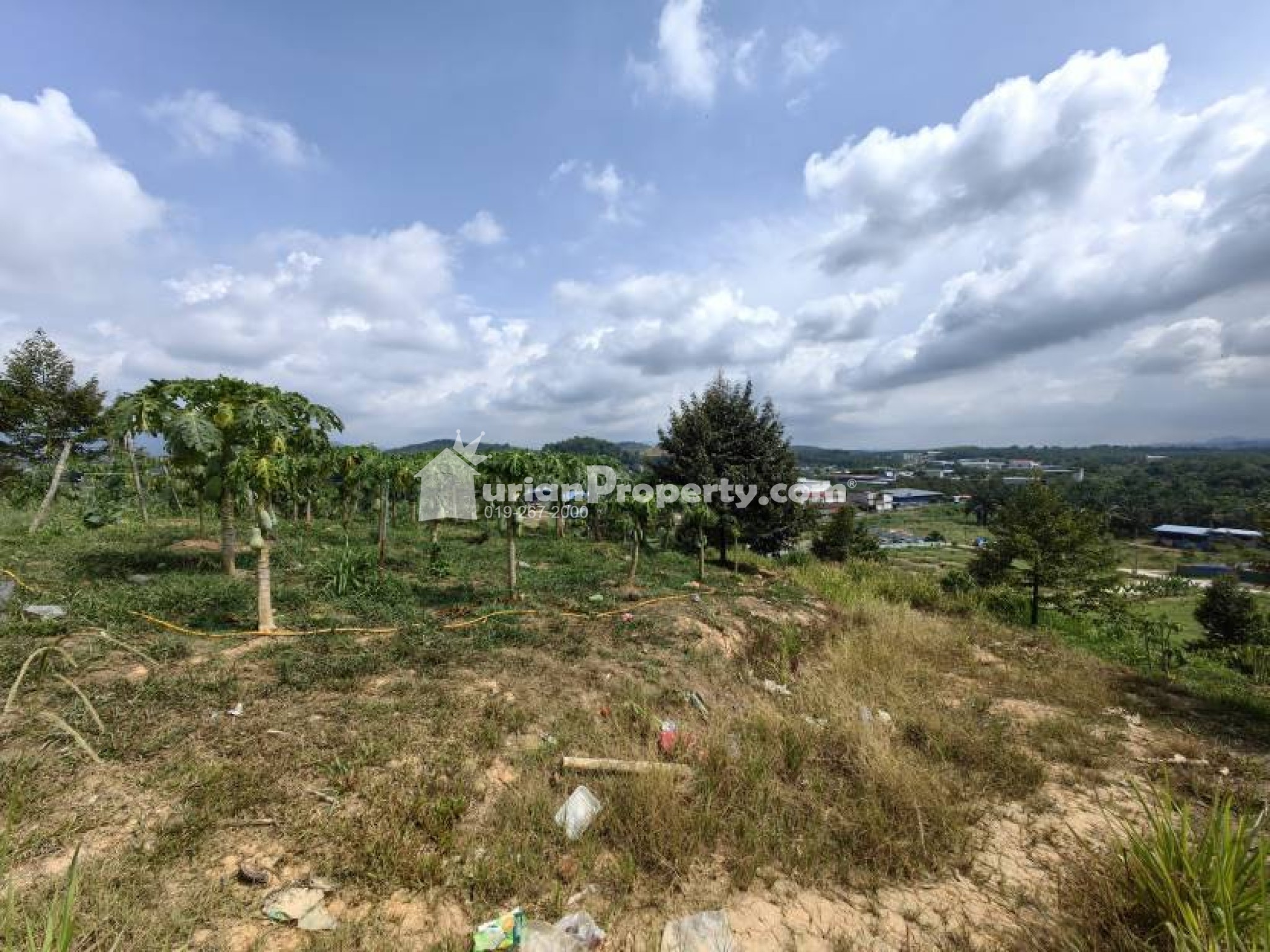 Agriculture Land For Sale at Raub