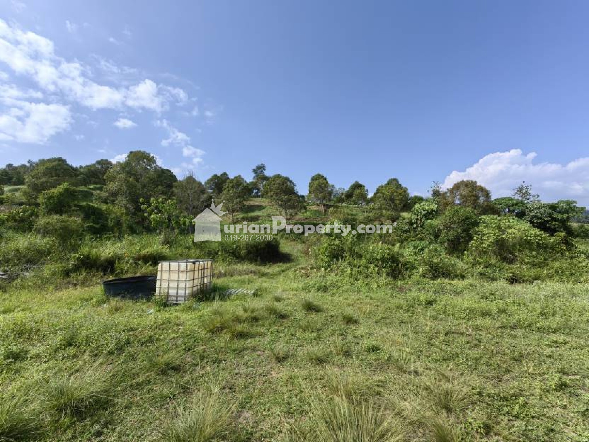 Agriculture Land For Sale at Raub