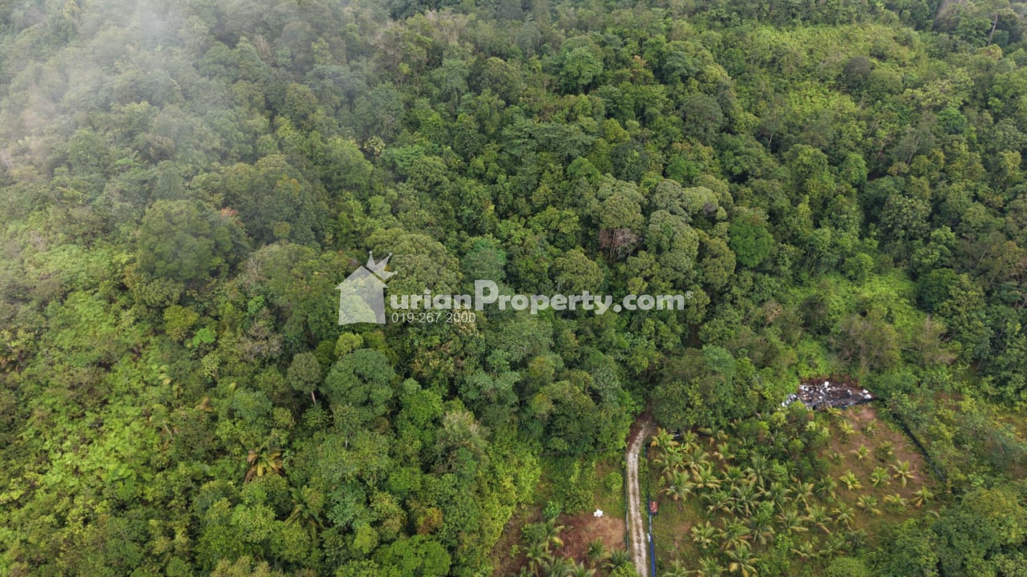 Agriculture Land For Sale at Kuala Lipis