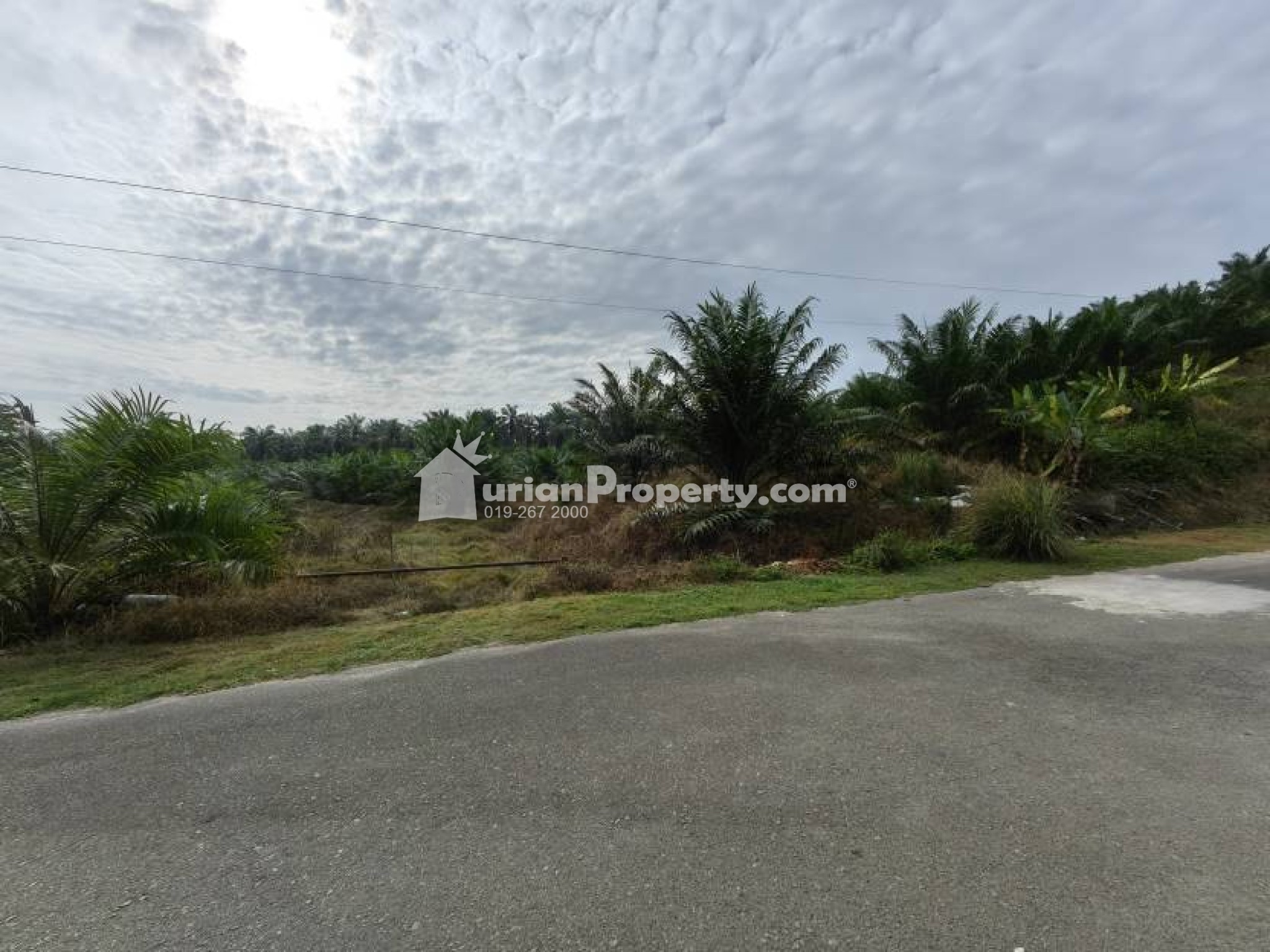 Agriculture Land For Sale at Bera