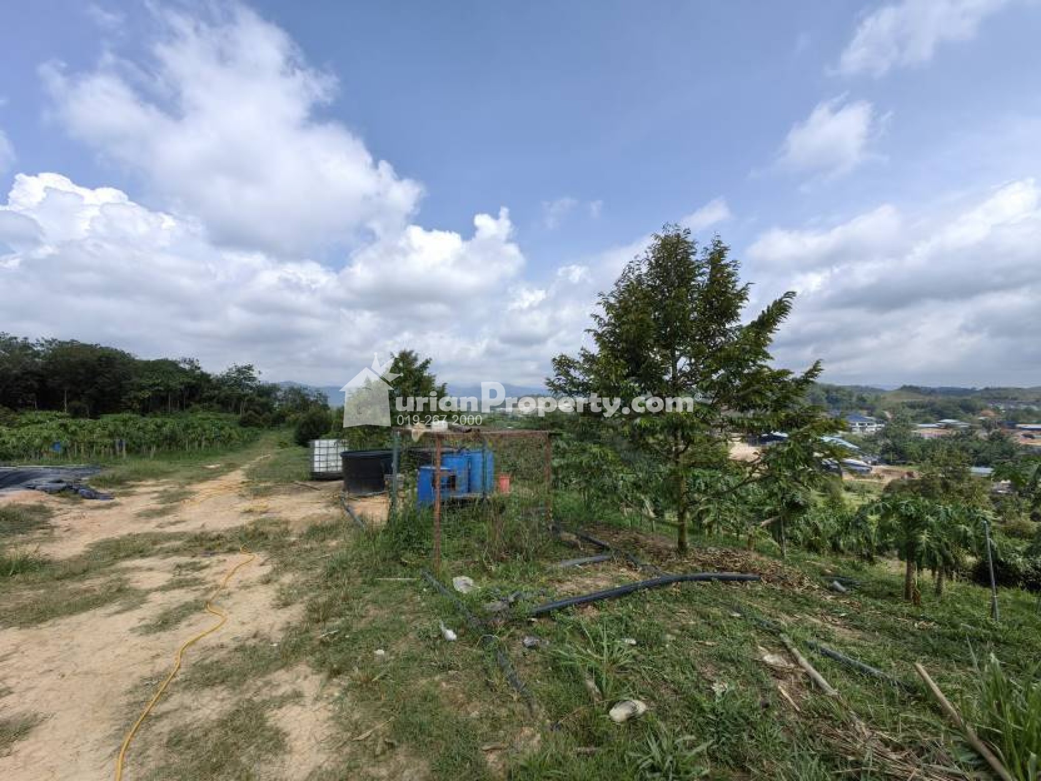 Agriculture Land For Sale at Raub
