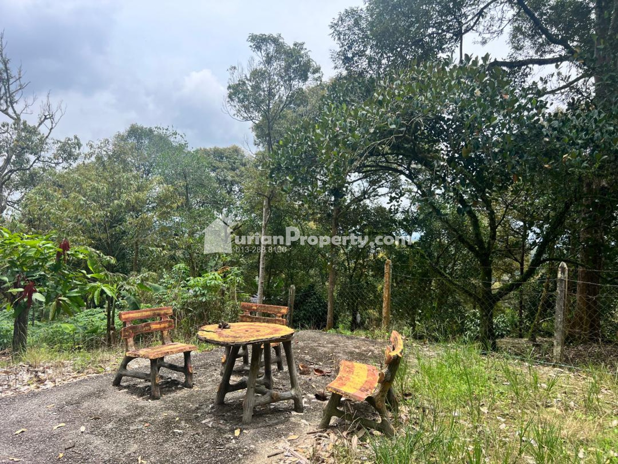 Agriculture Land For Sale at Mantin