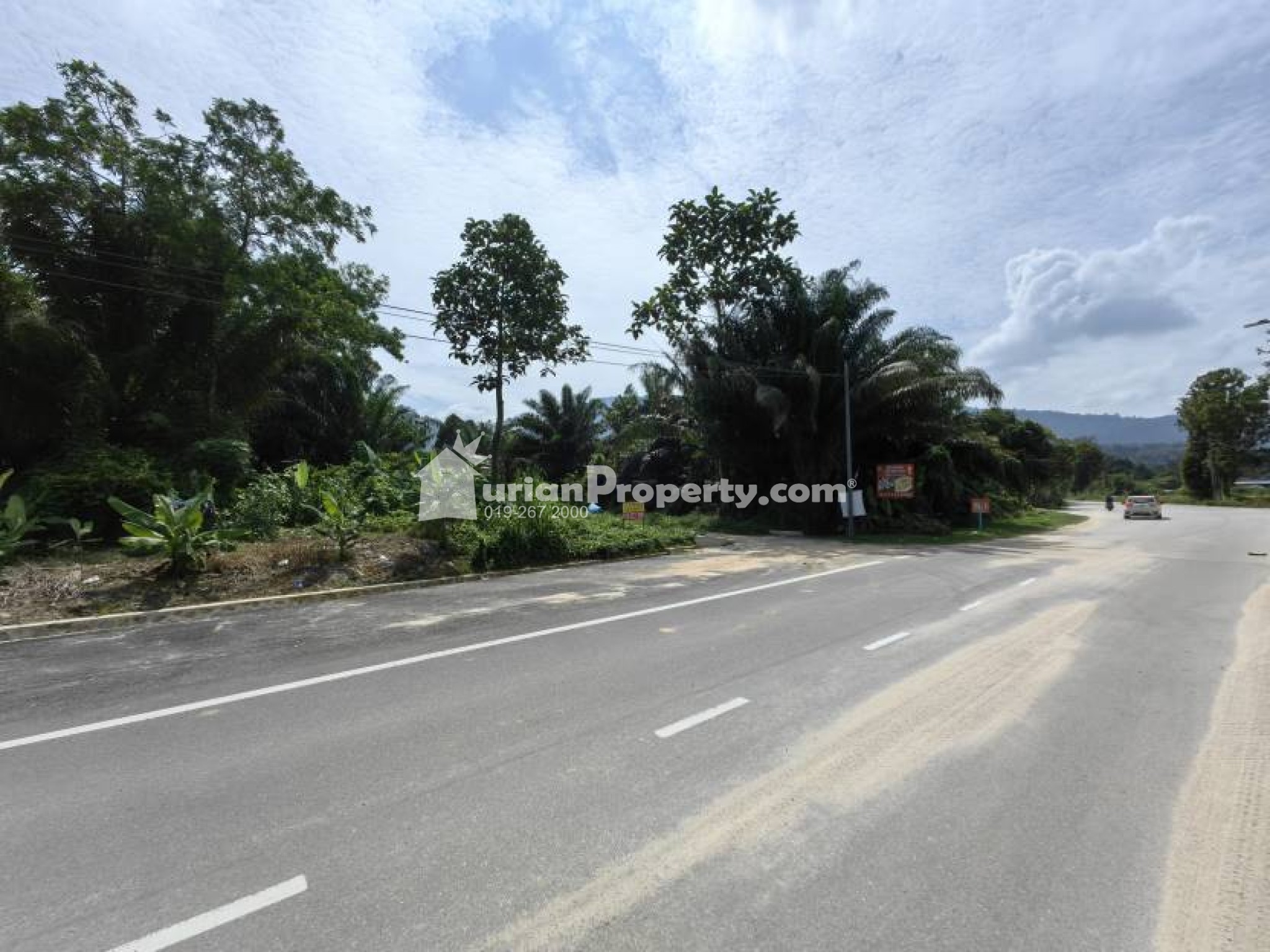 Agriculture Land For Sale at Broga