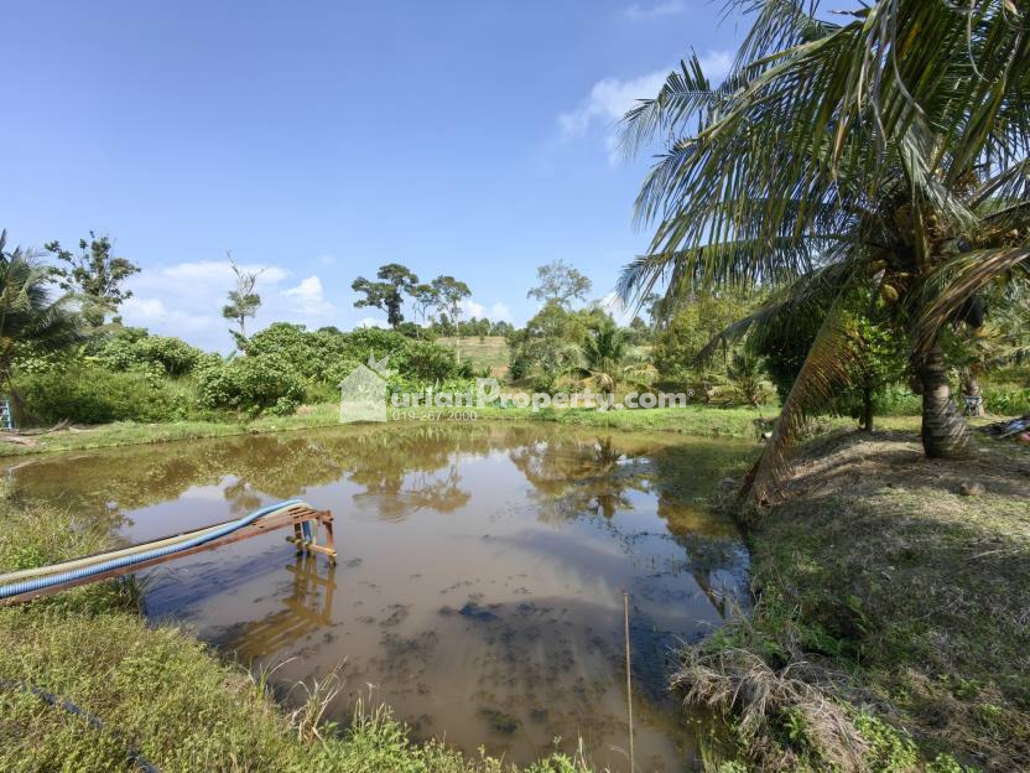 Agriculture Land For Sale at Raub