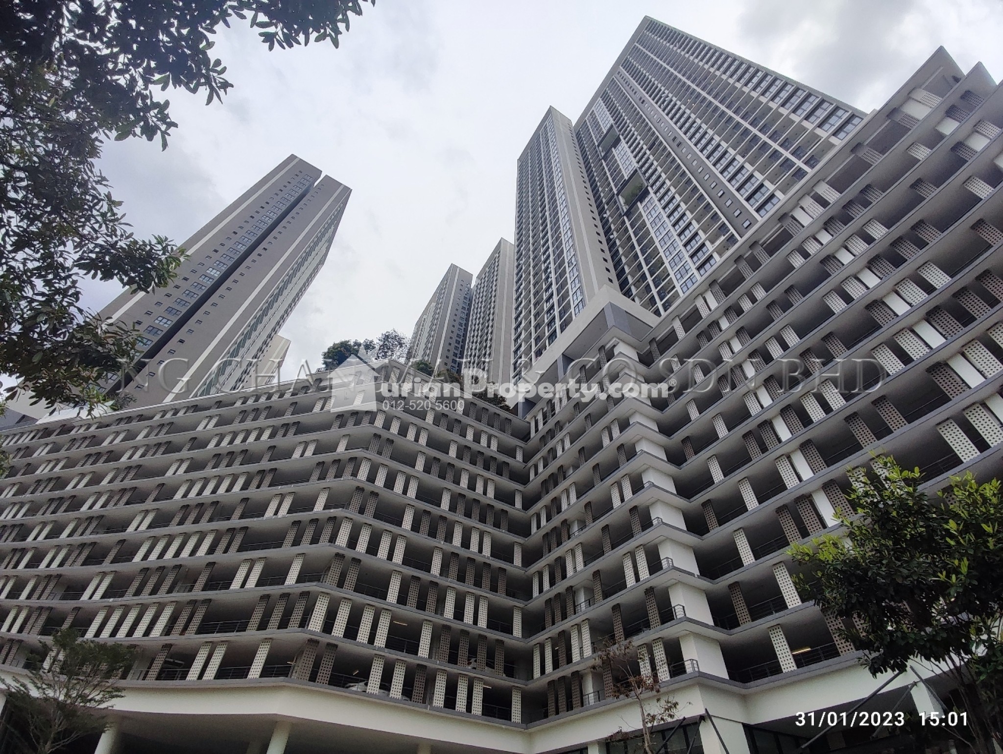 SOHO For Auction at 28 Boulevard