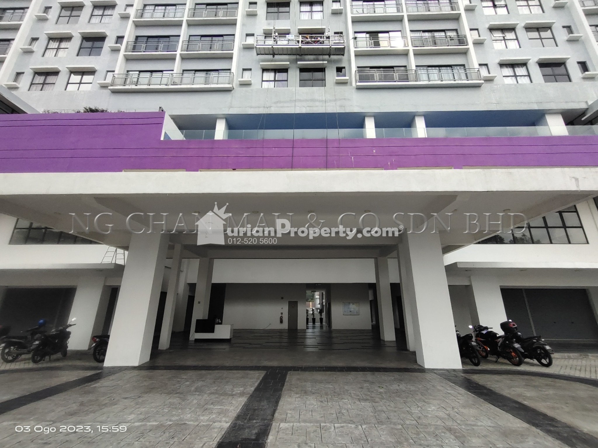 SOHO For Auction at SOHO Trio Permai