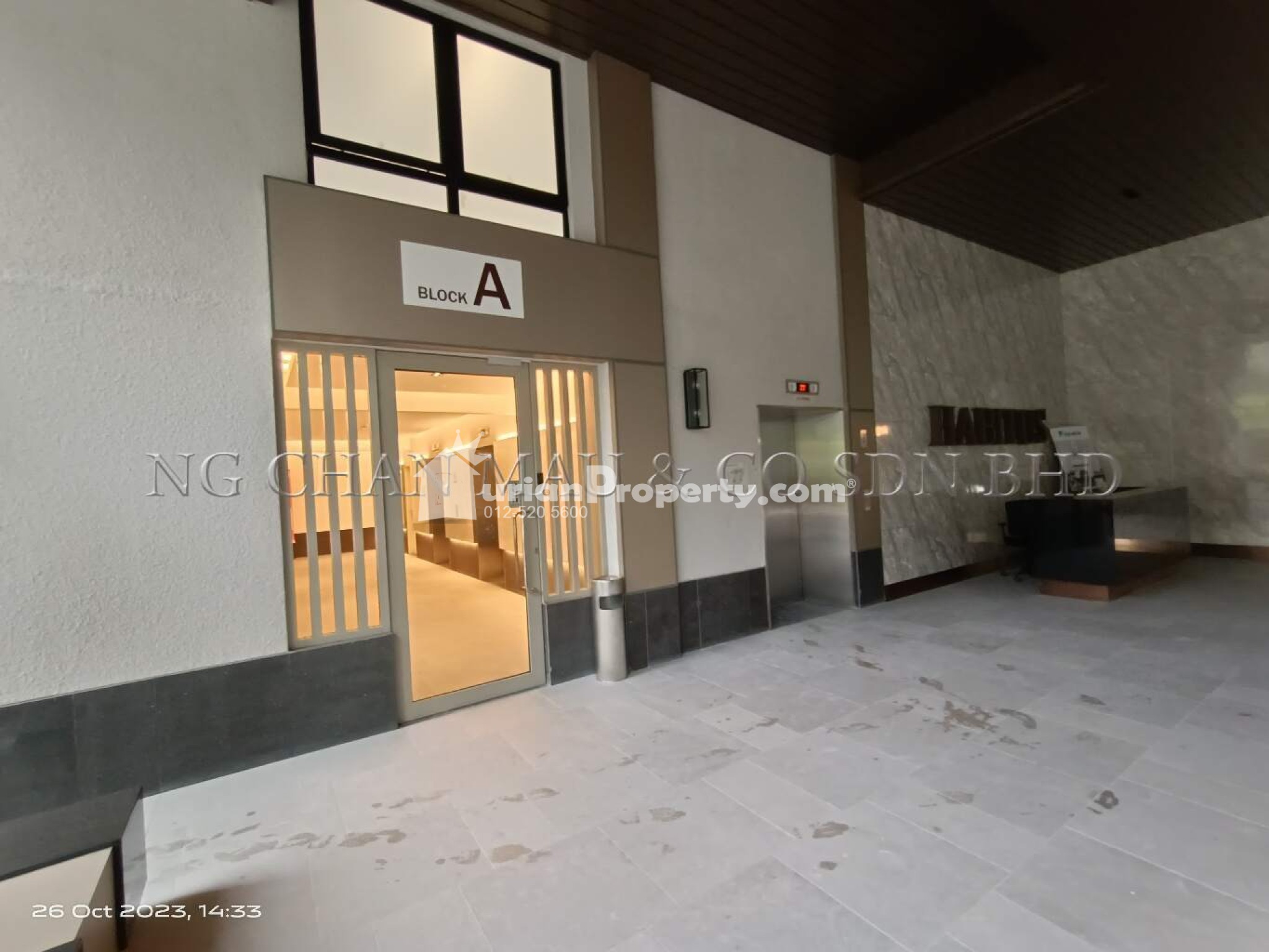 SOVO For Auction at Habitus