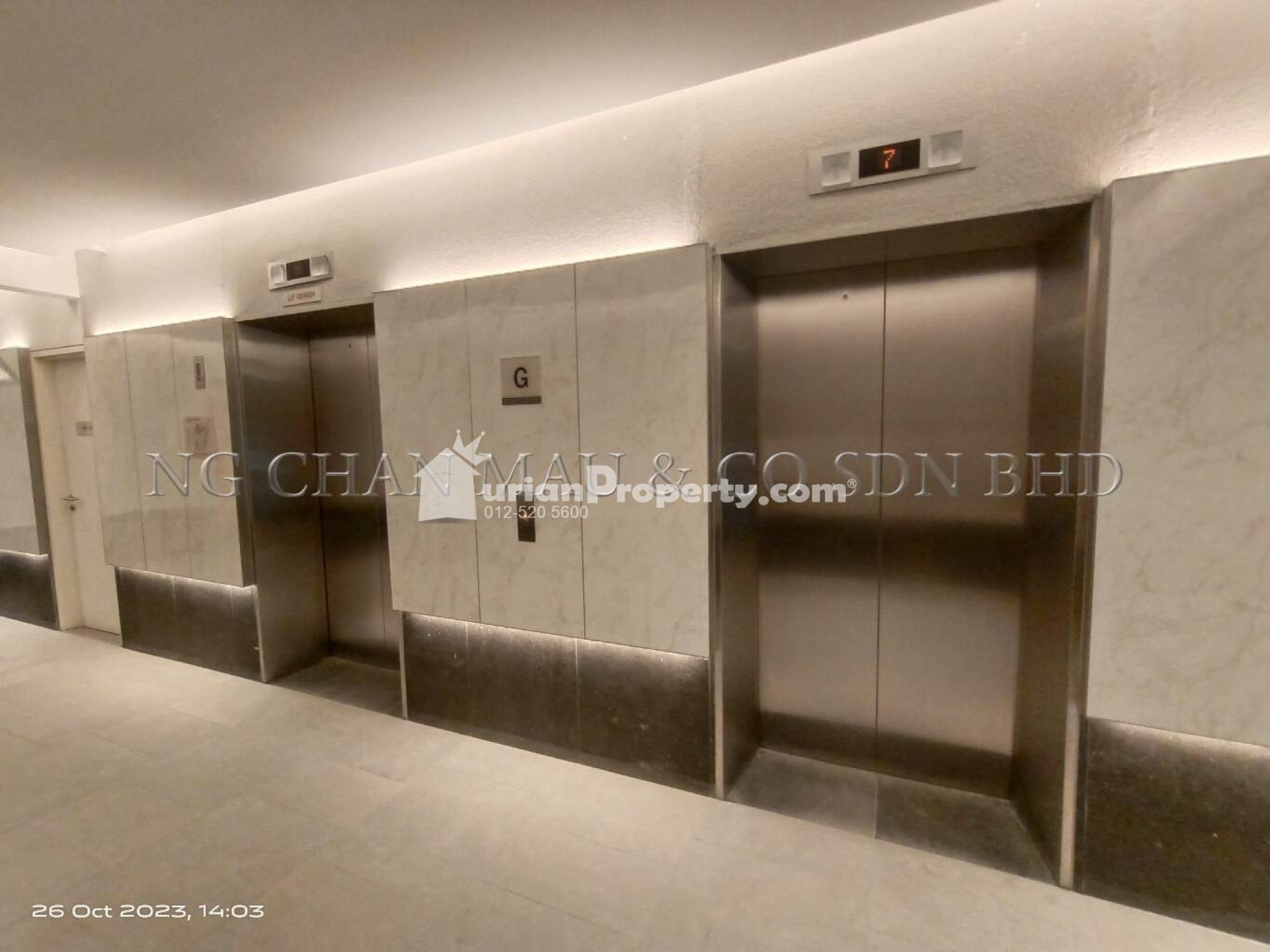 SOVO For Auction at Habitus