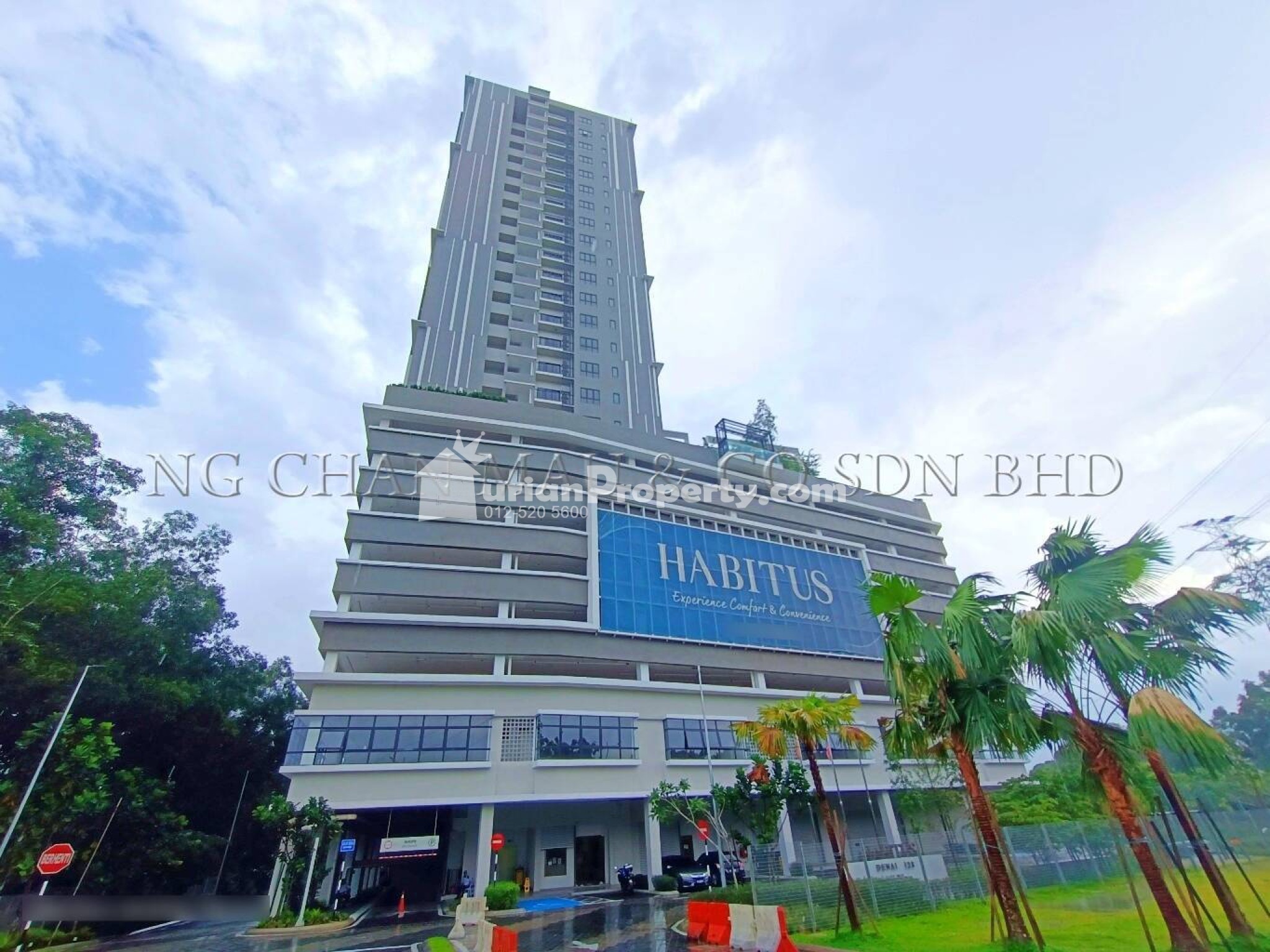 SOVO For Auction at Habitus