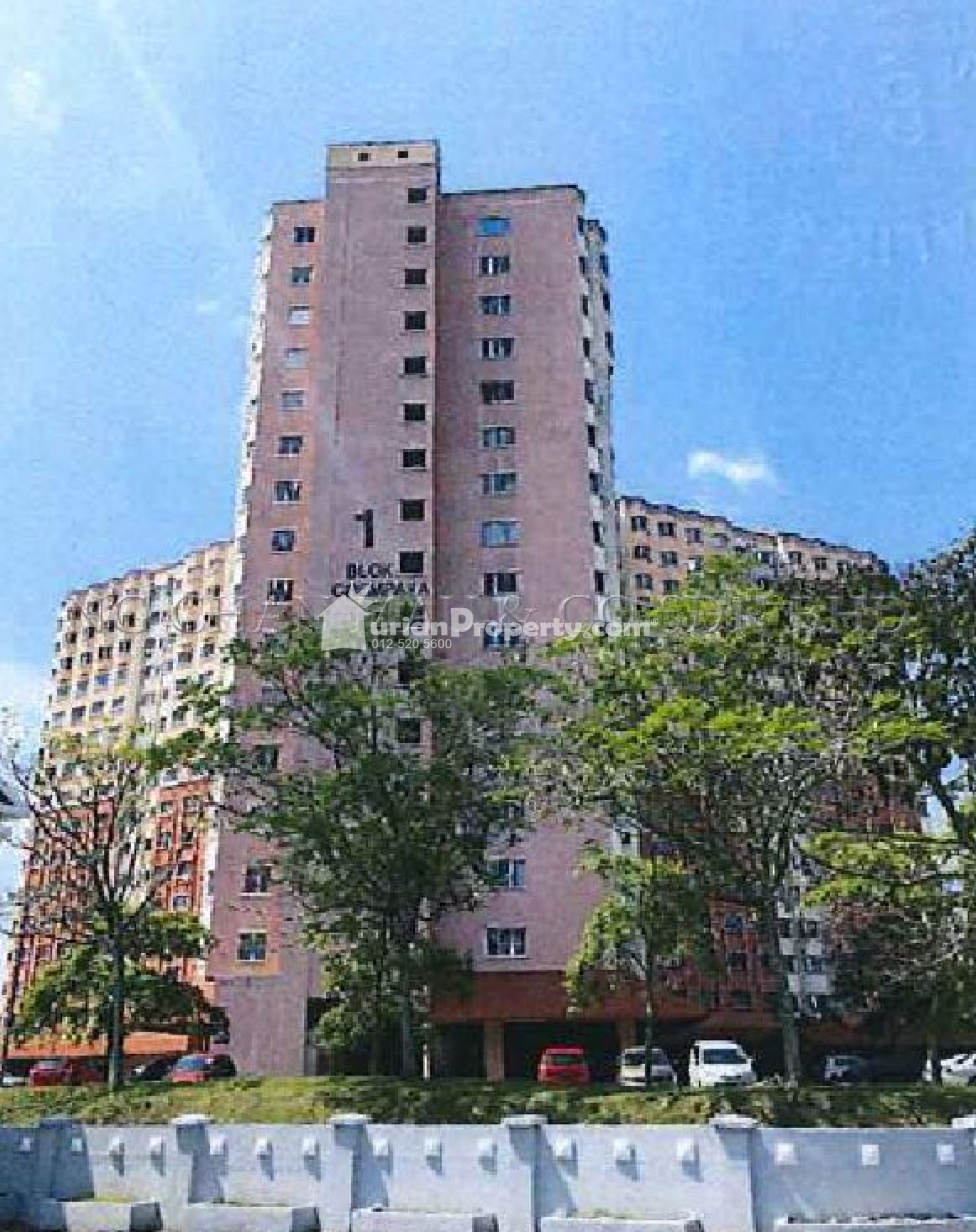 Apartment For Auction at Desaminium Flora