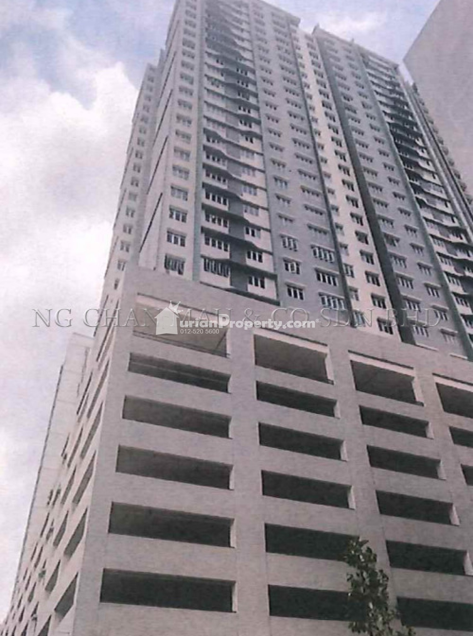 Serviced Residence For Auction at Nexus