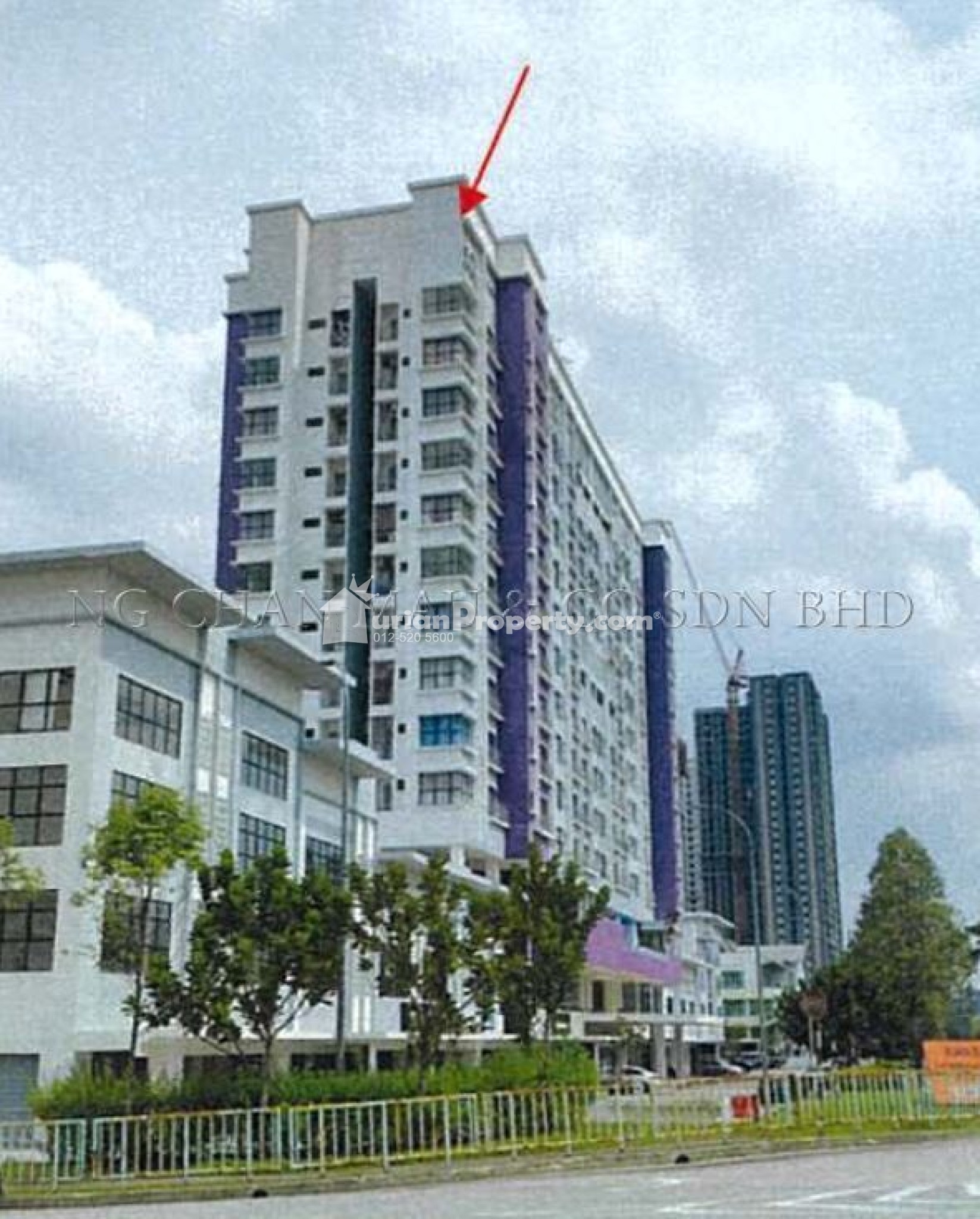 SOHO For Auction at SOHO Trio Permai