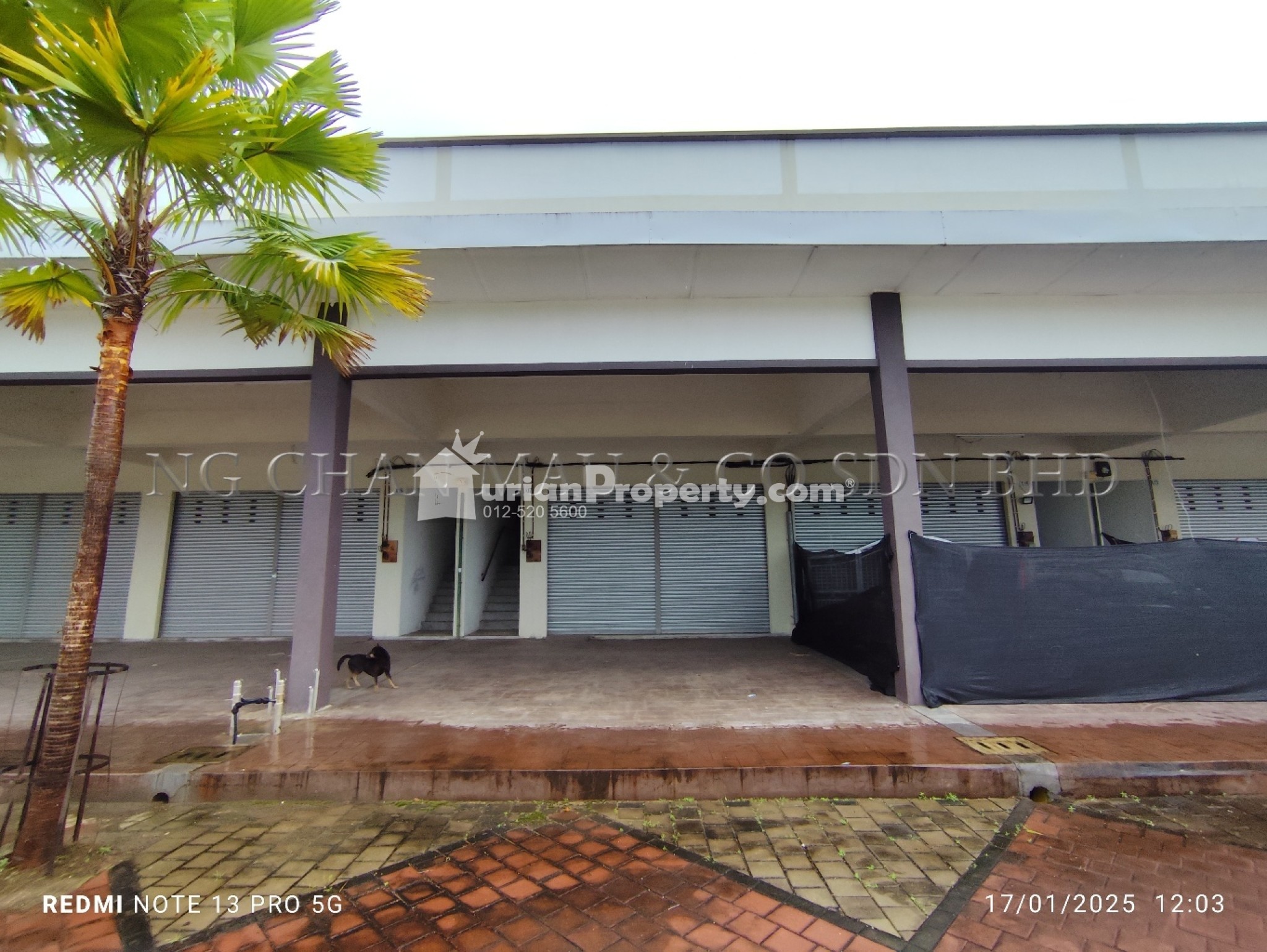 Shop Office For Auction at Kuantan