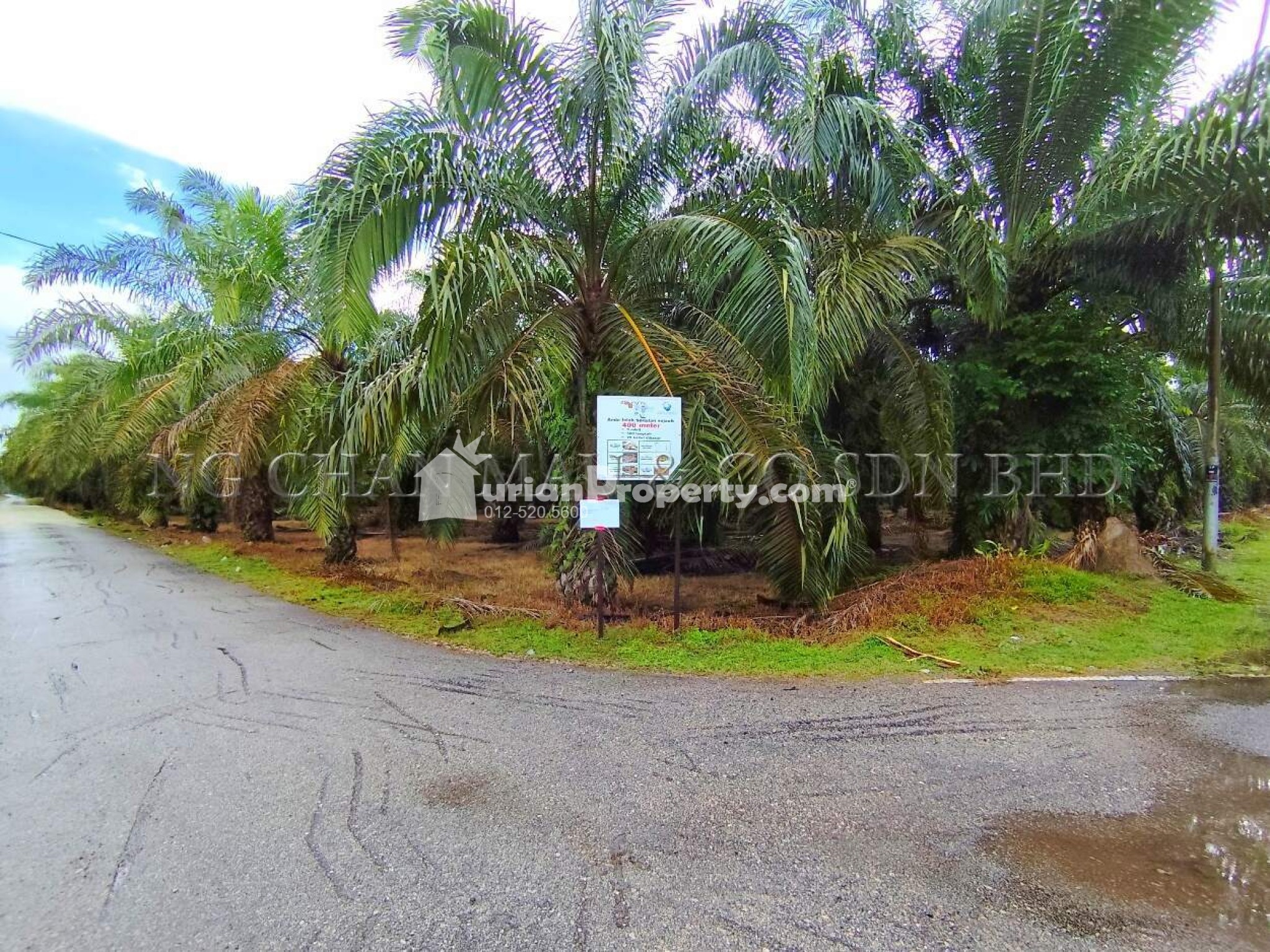 Agriculture Land For Auction at Parit Jawa