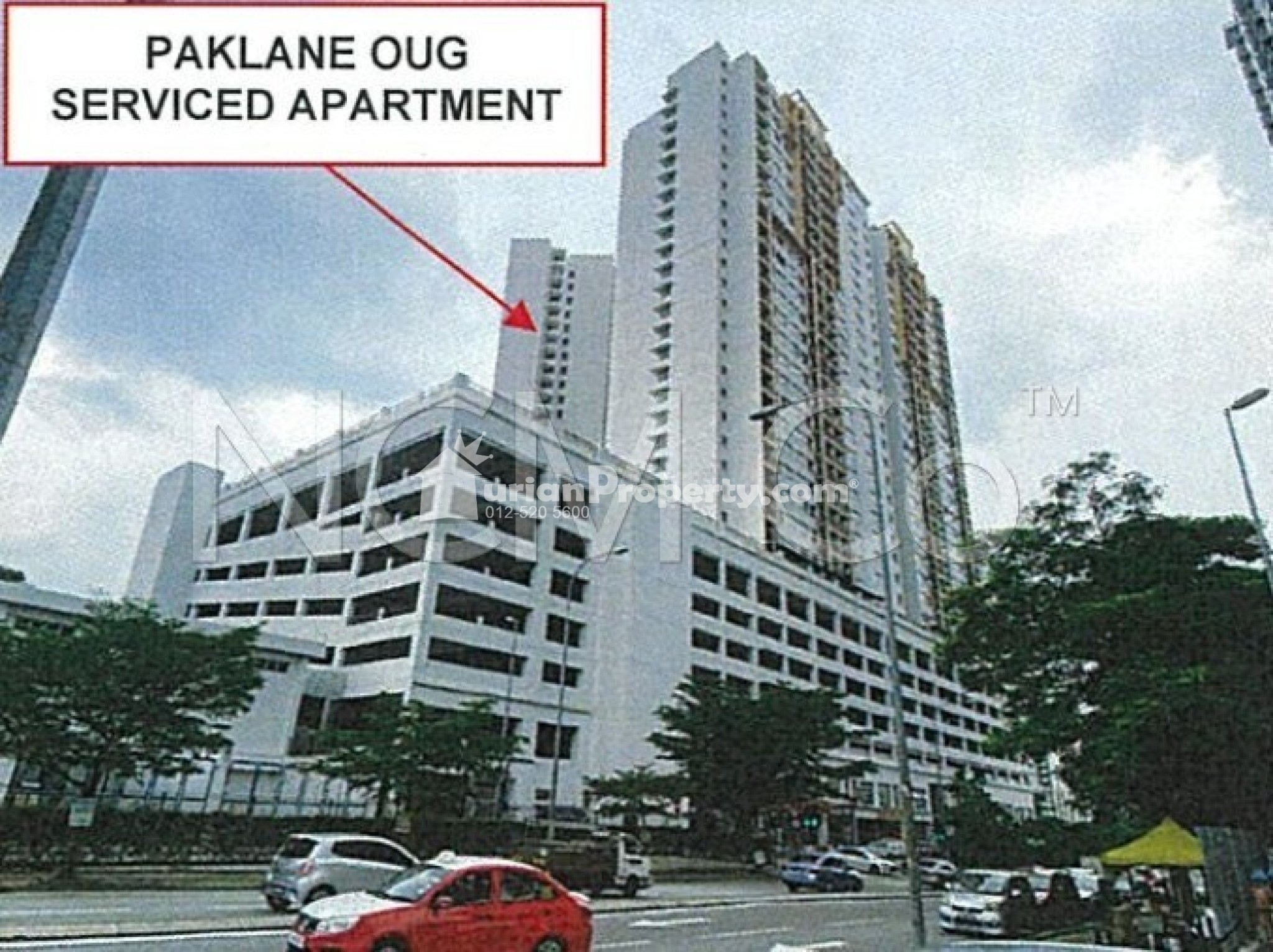 Shop For Auction at OUG Parklane