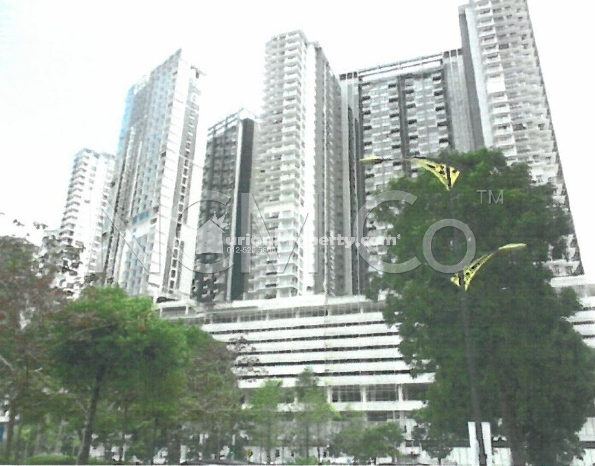 SOFO For Auction at D'Pristine