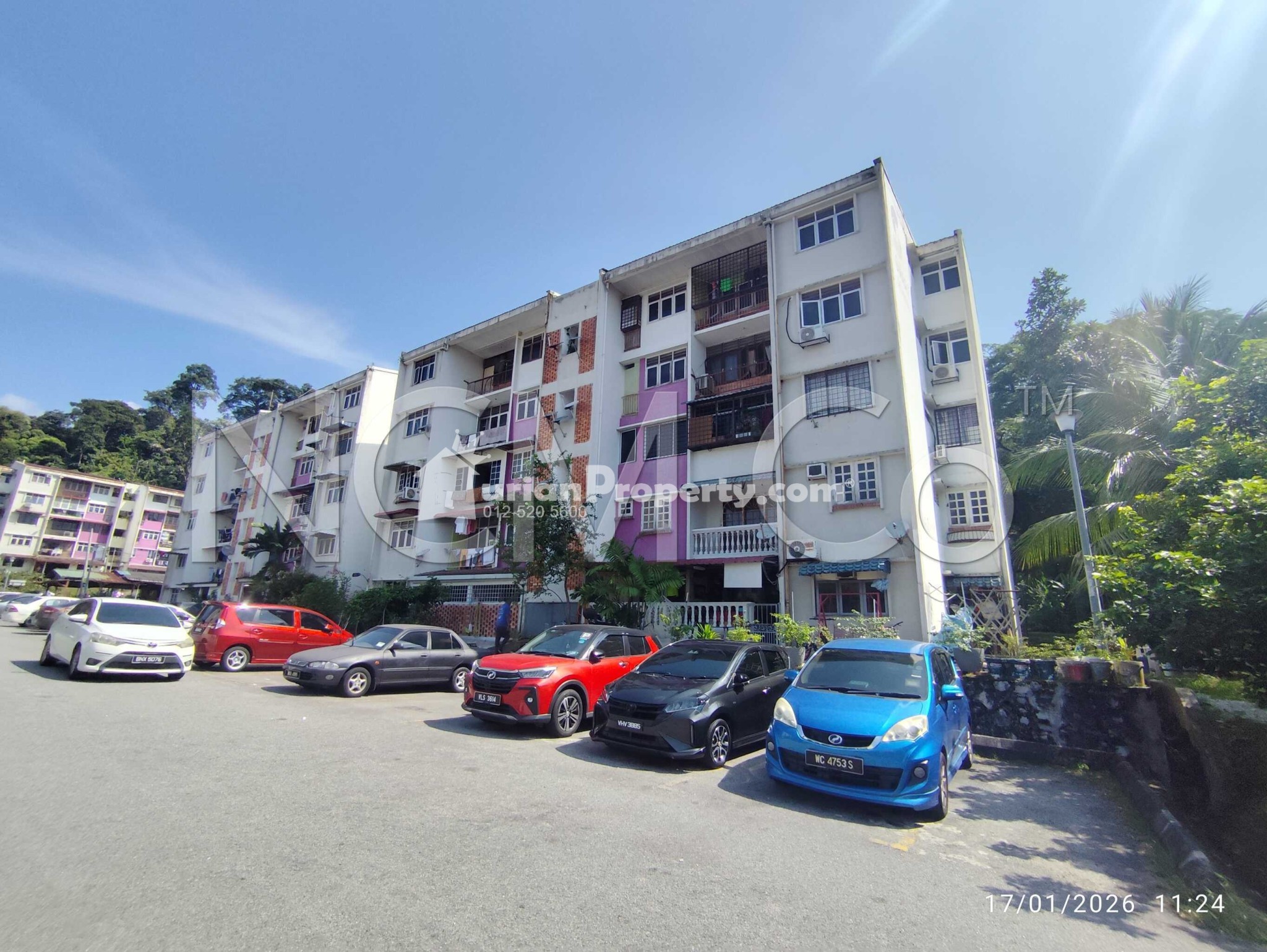 Flat For Auction at Flat Pkns