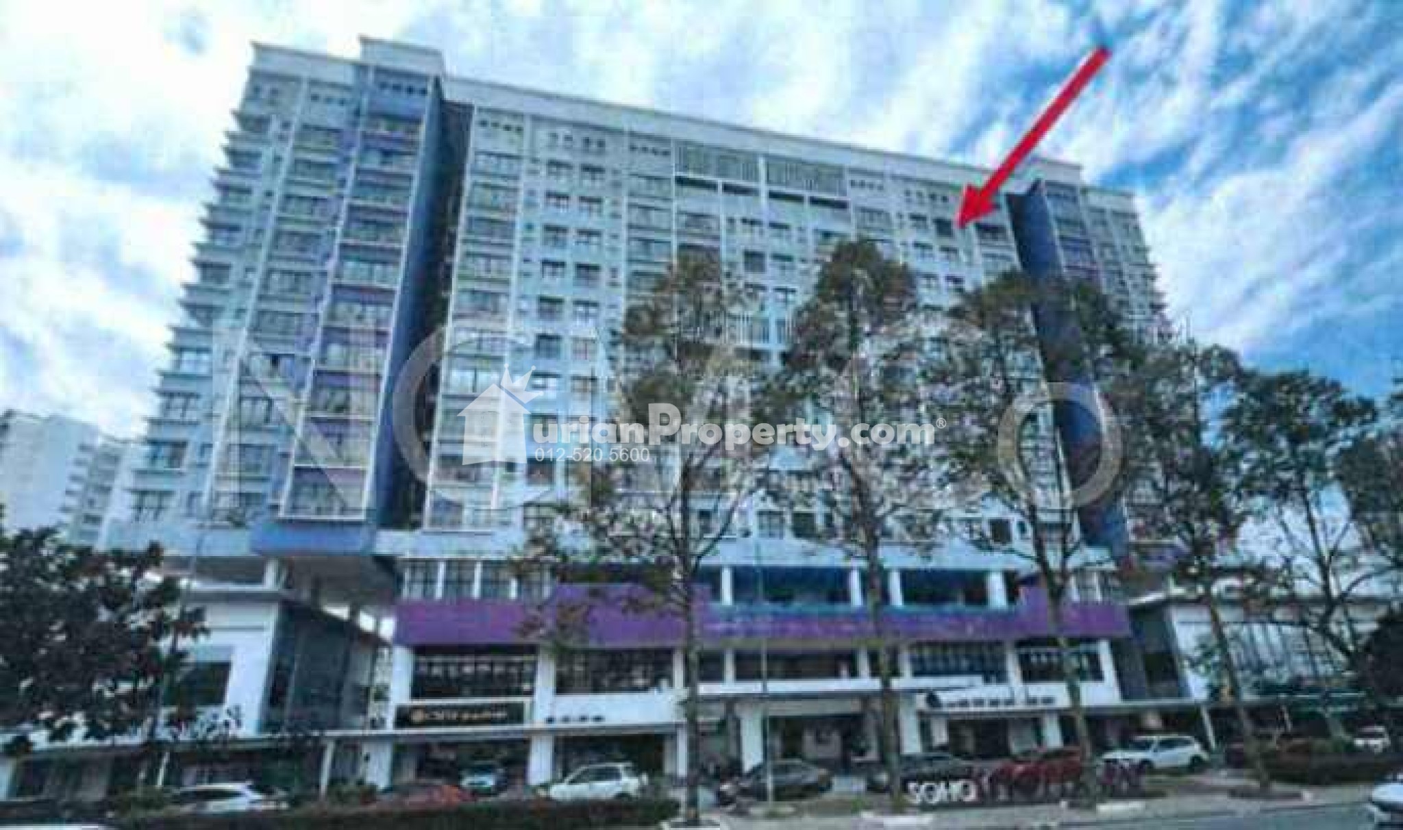 SOHO For Auction at SOHO Trio Permai