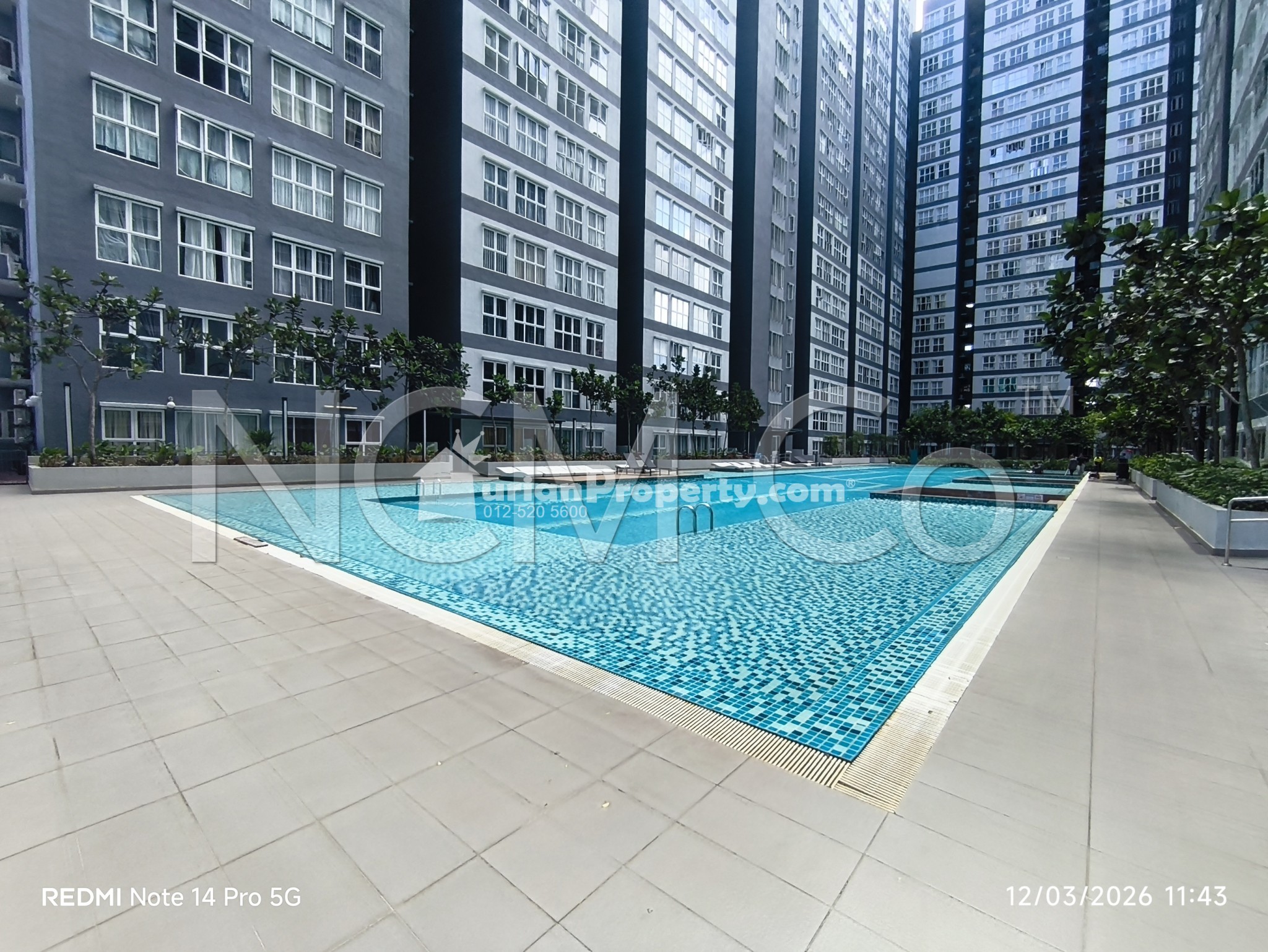 SOHO For Auction at Canopy Hills