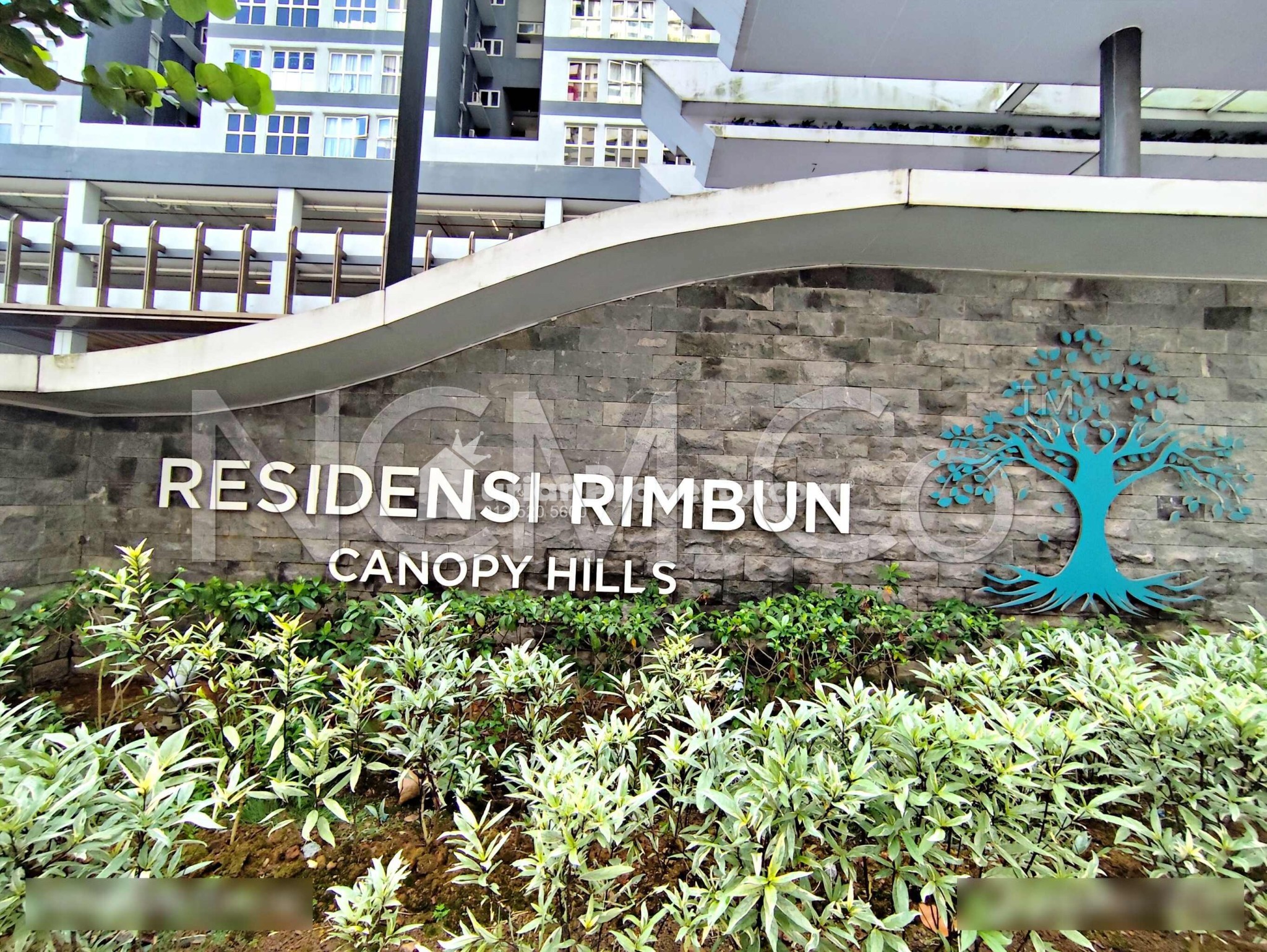 SOHO For Auction at Canopy Hills