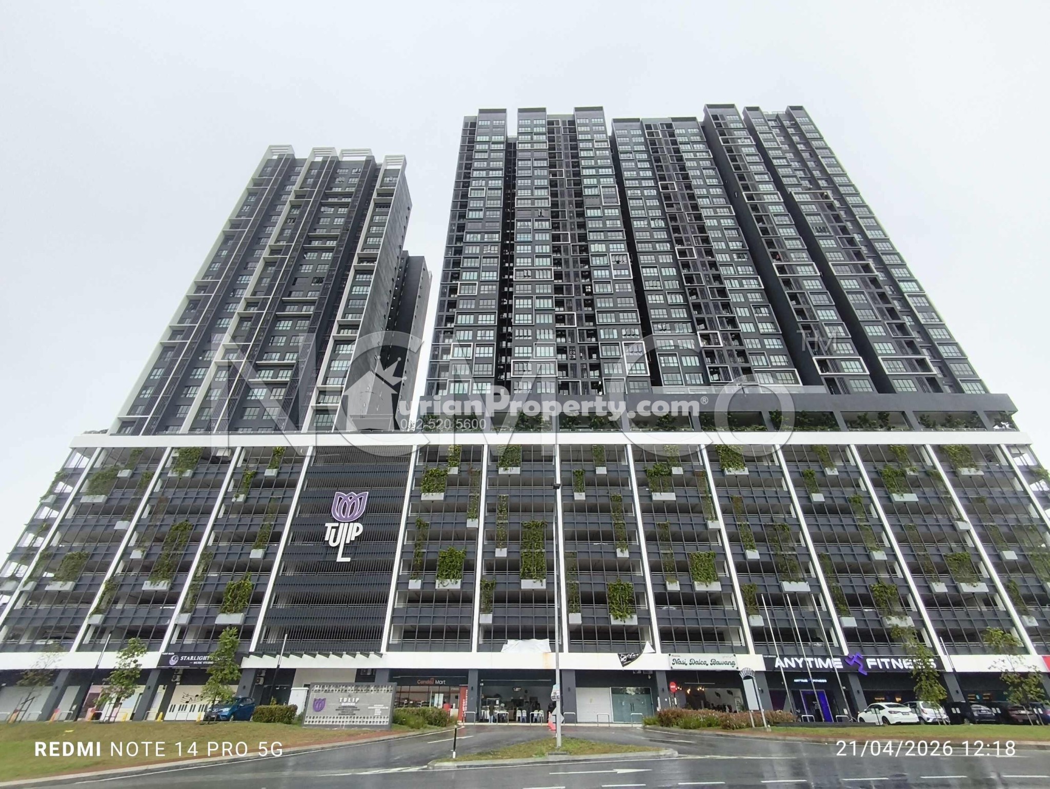 SOHO For Auction at Tulip Residence