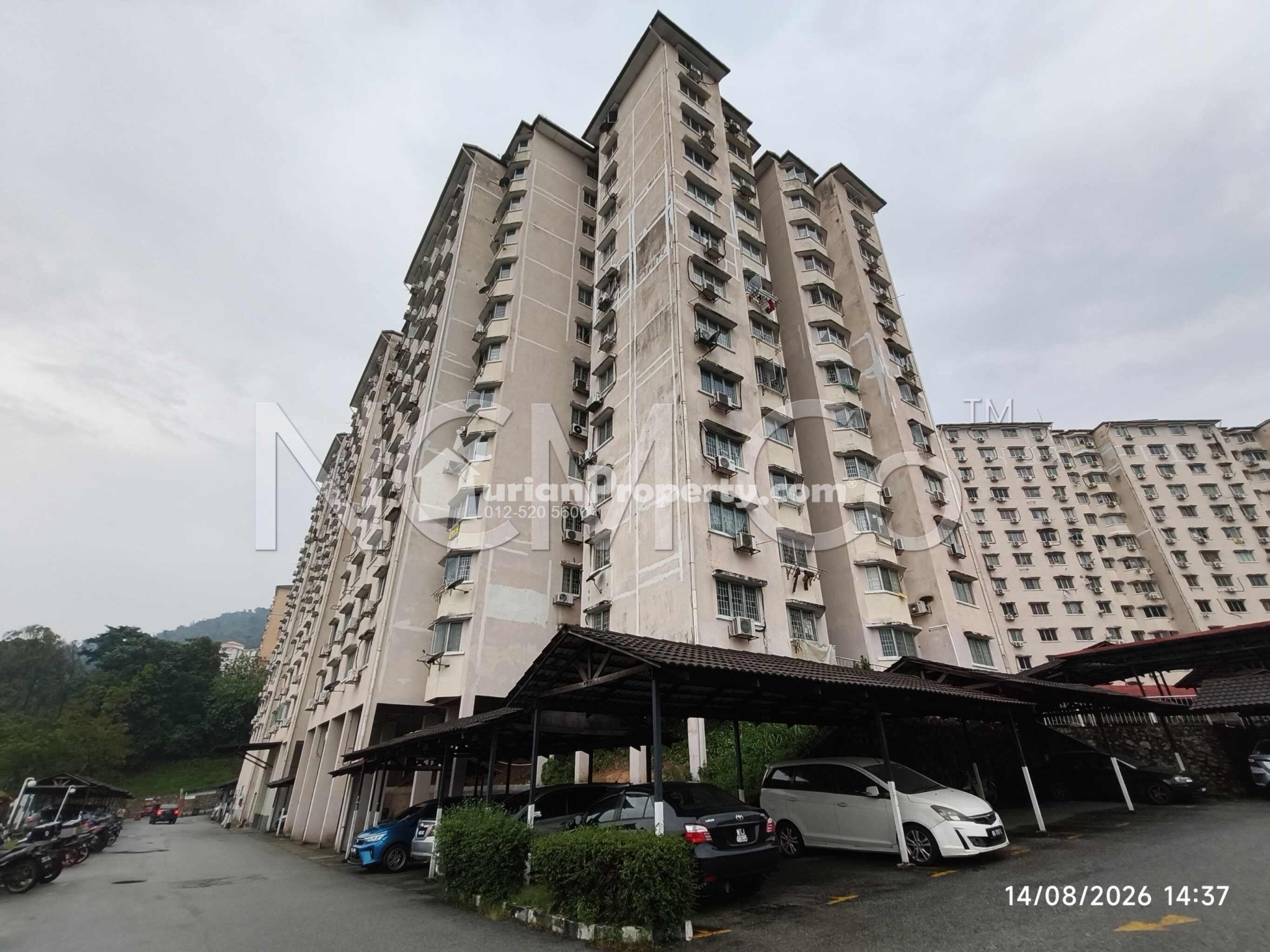 Apartment For Auction at Aman Dua