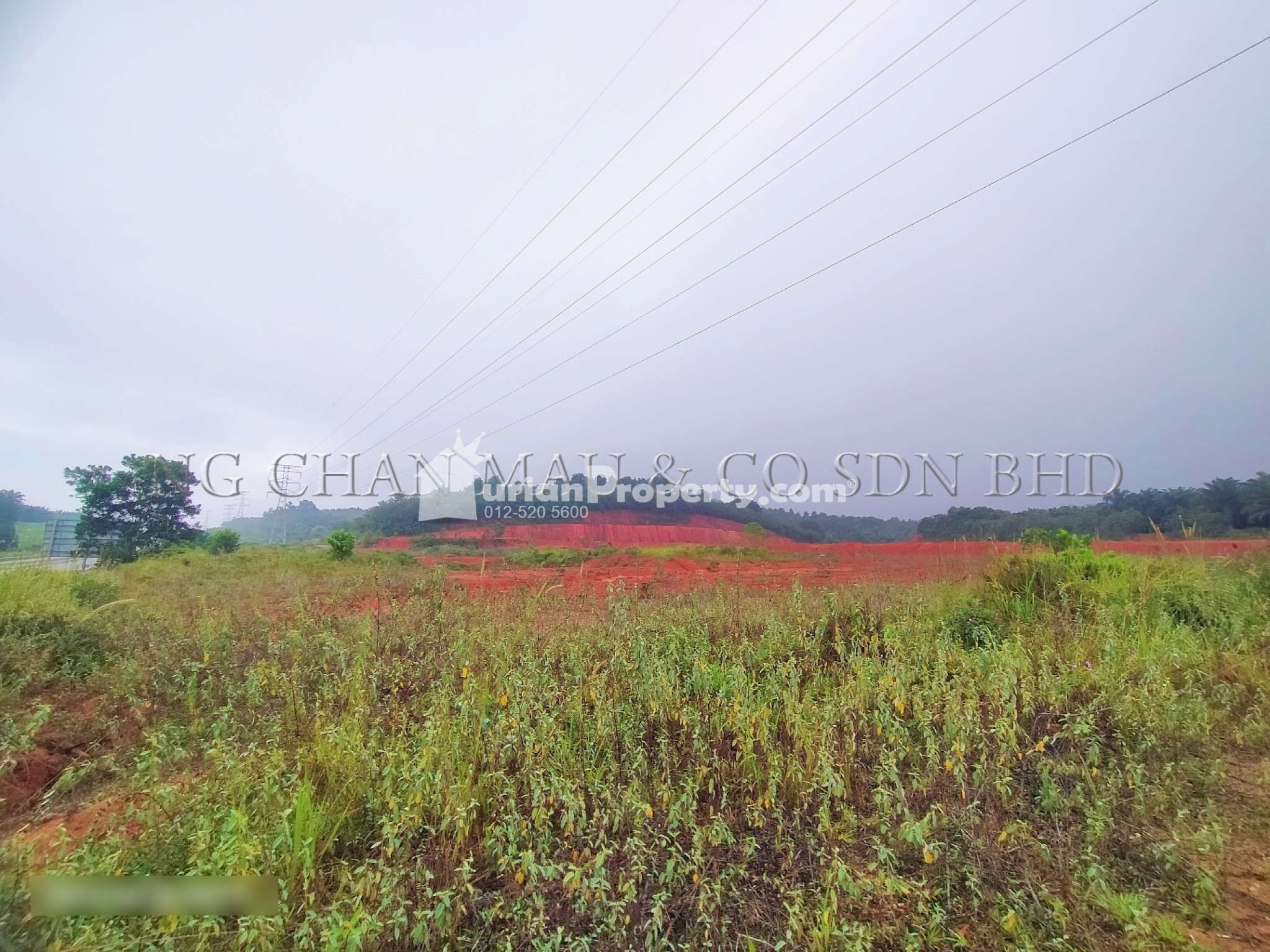 Agriculture Land For Auction at Tanjung Surat