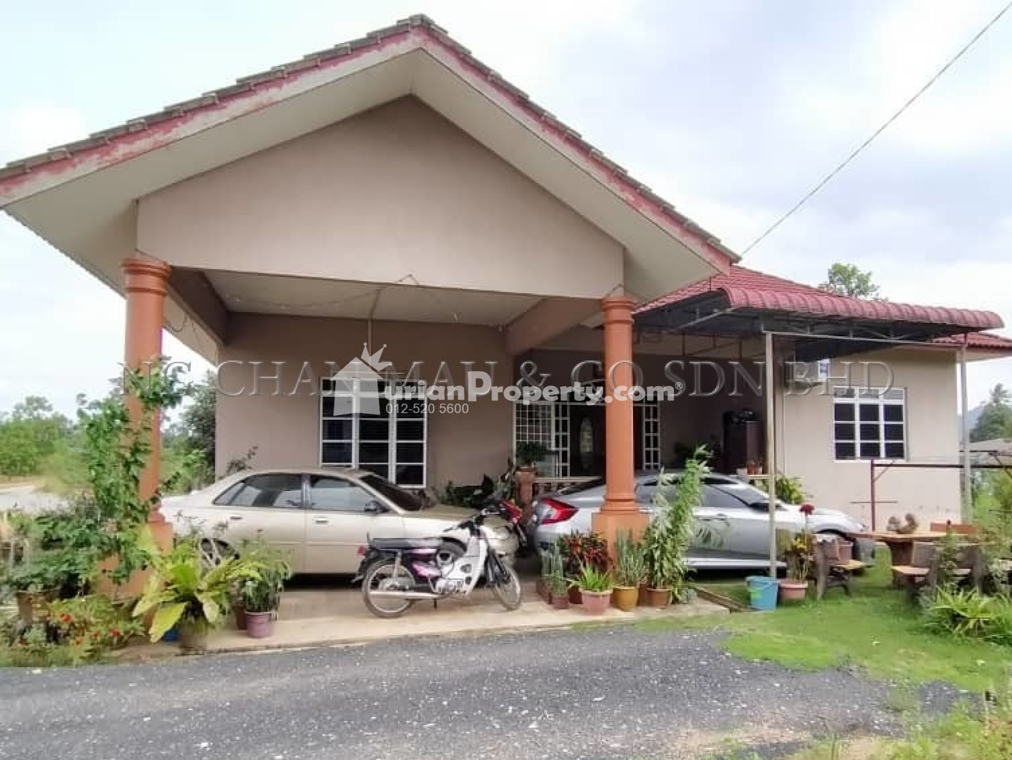 Bungalow House For Auction at Alur Limbat