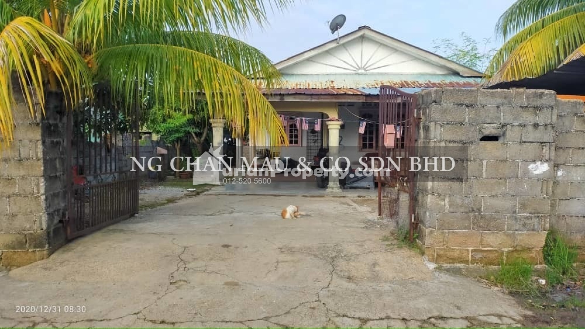 Bungalow House For Auction at Tumpat