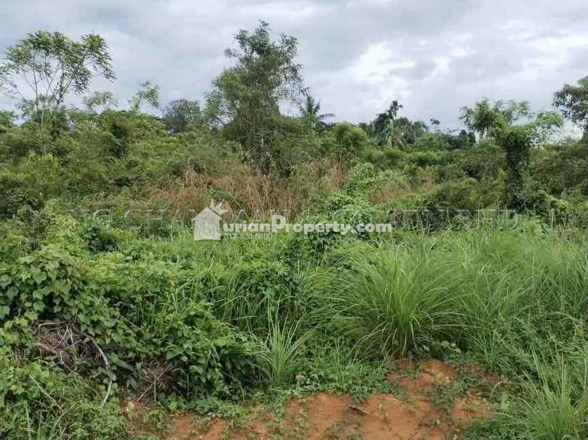 Residential Land For Auction at Machang